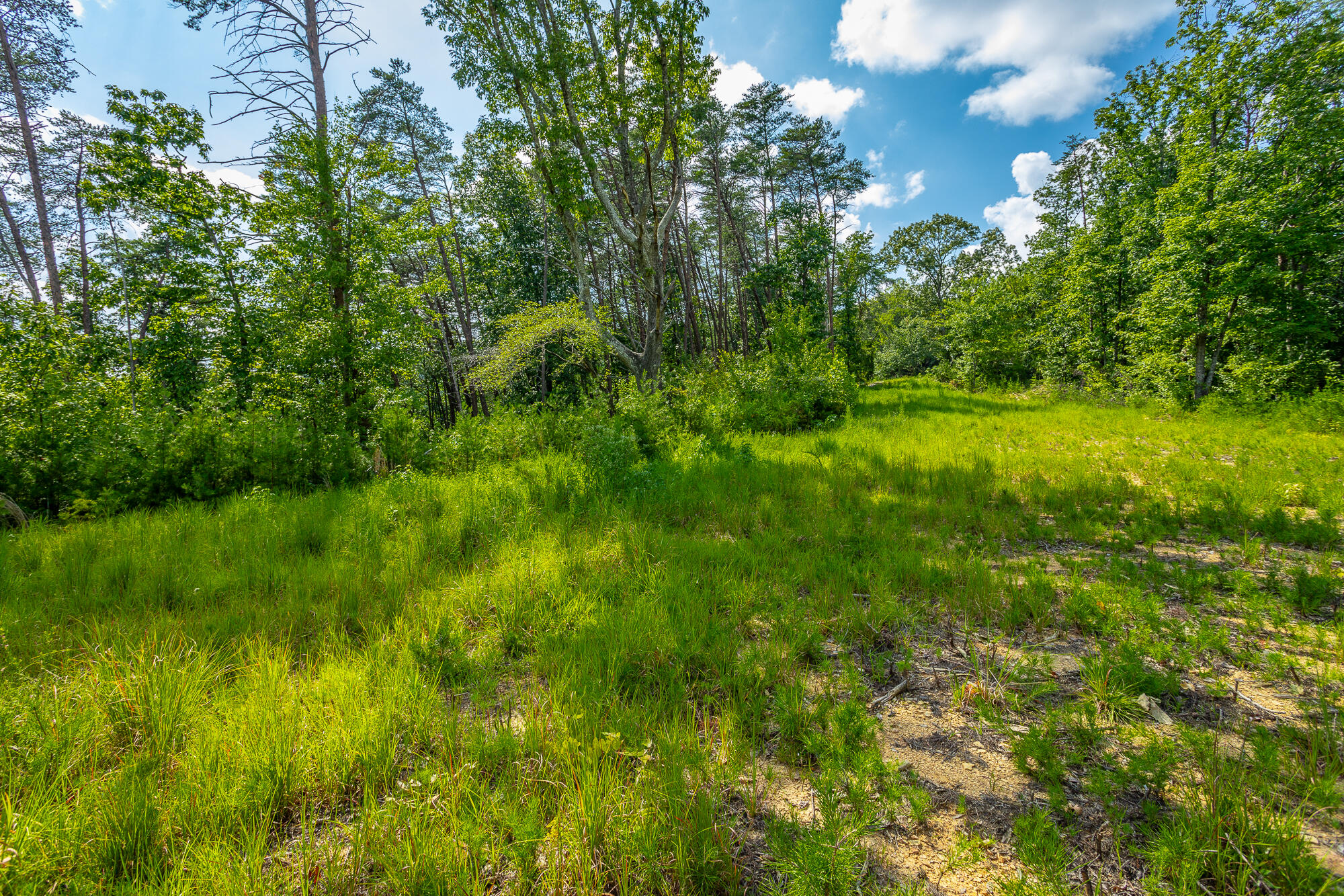 291 Mowbray Pike, Soddy Daisy, Tennessee image 16