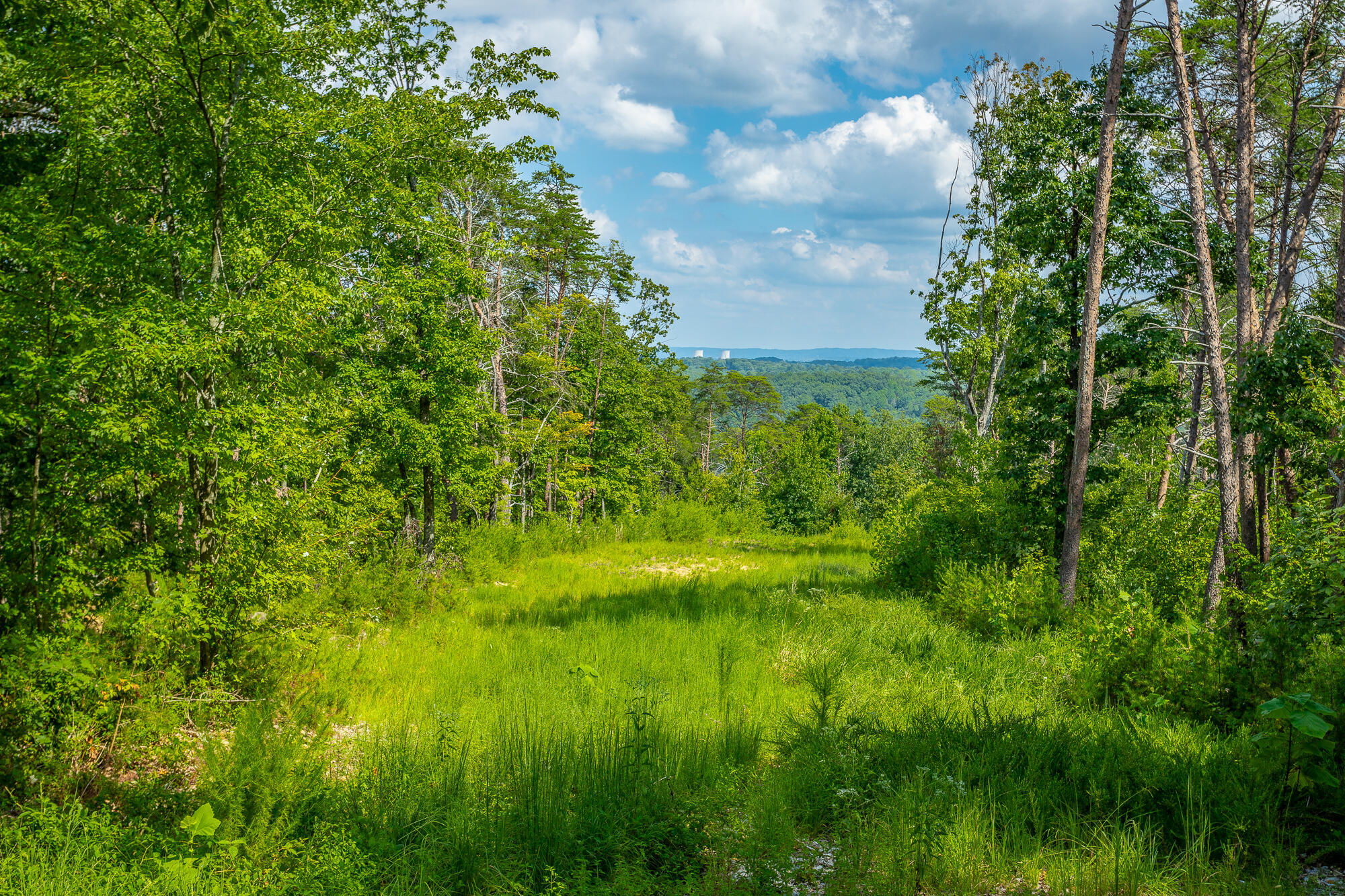 291 Mowbray Pike, Soddy Daisy, Tennessee image 7