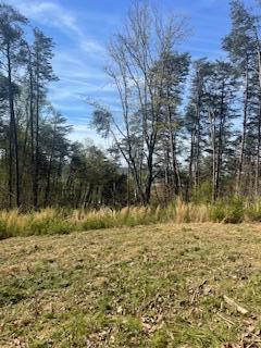 291 Mowbray Pike, Soddy Daisy, Tennessee image 32