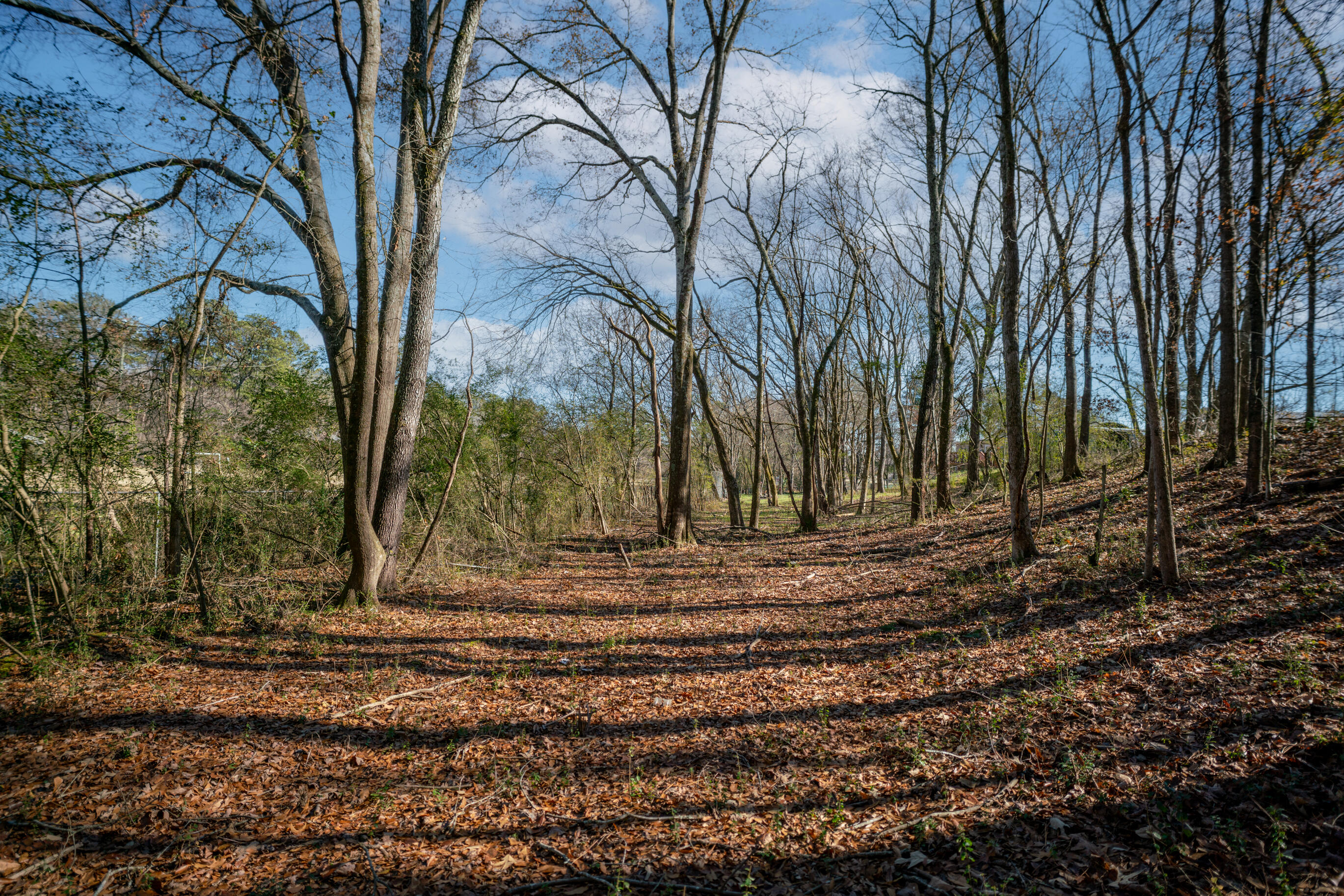 113 Ireland Lane, Chickamauga, Georgia image 45