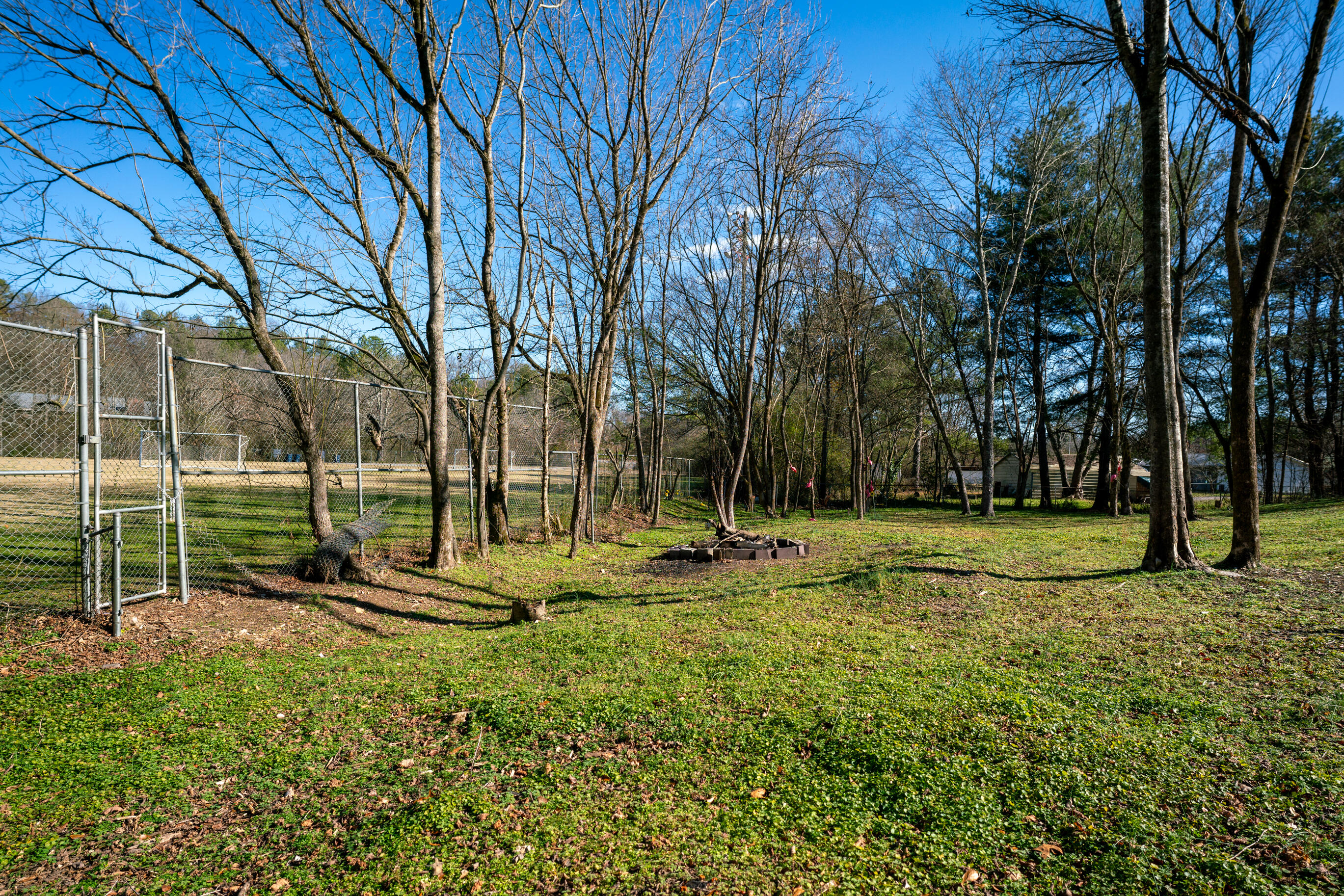 113 Ireland Lane, Chickamauga, Georgia image 37