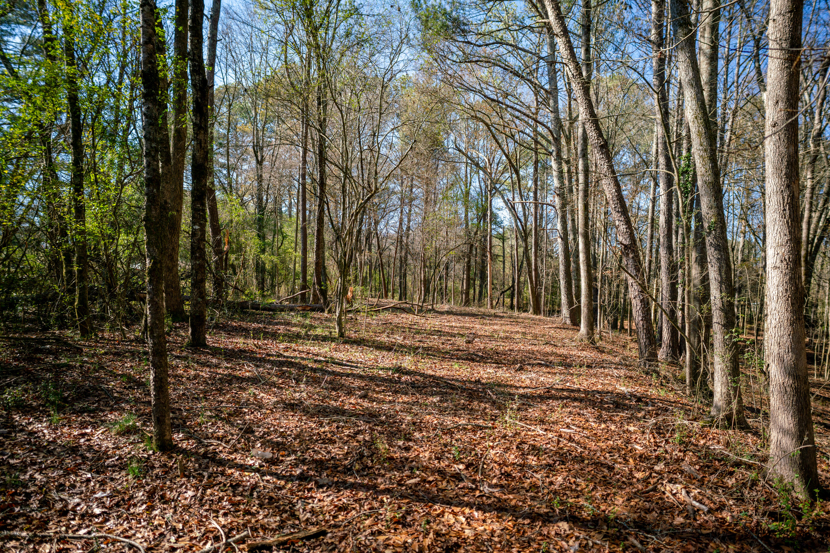 113 Ireland Lane, Chickamauga, Georgia image 40