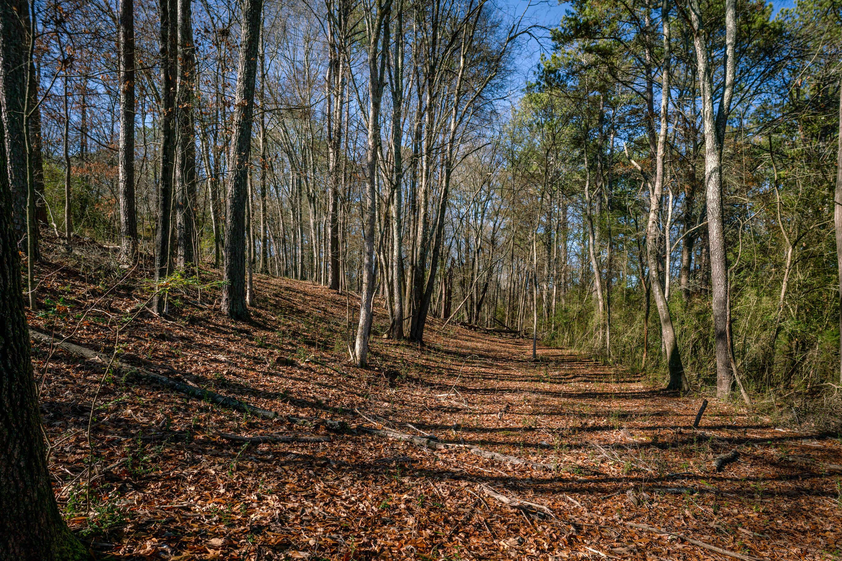 113 Ireland Lane, Chickamauga, Georgia image 39