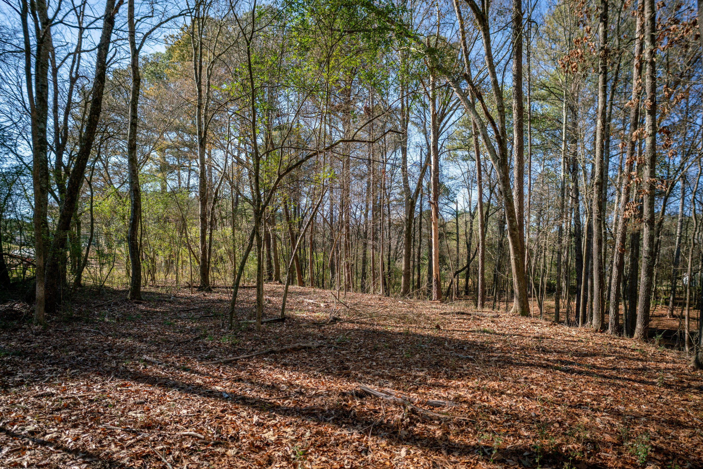 113 Ireland Lane, Chickamauga, Georgia image 42