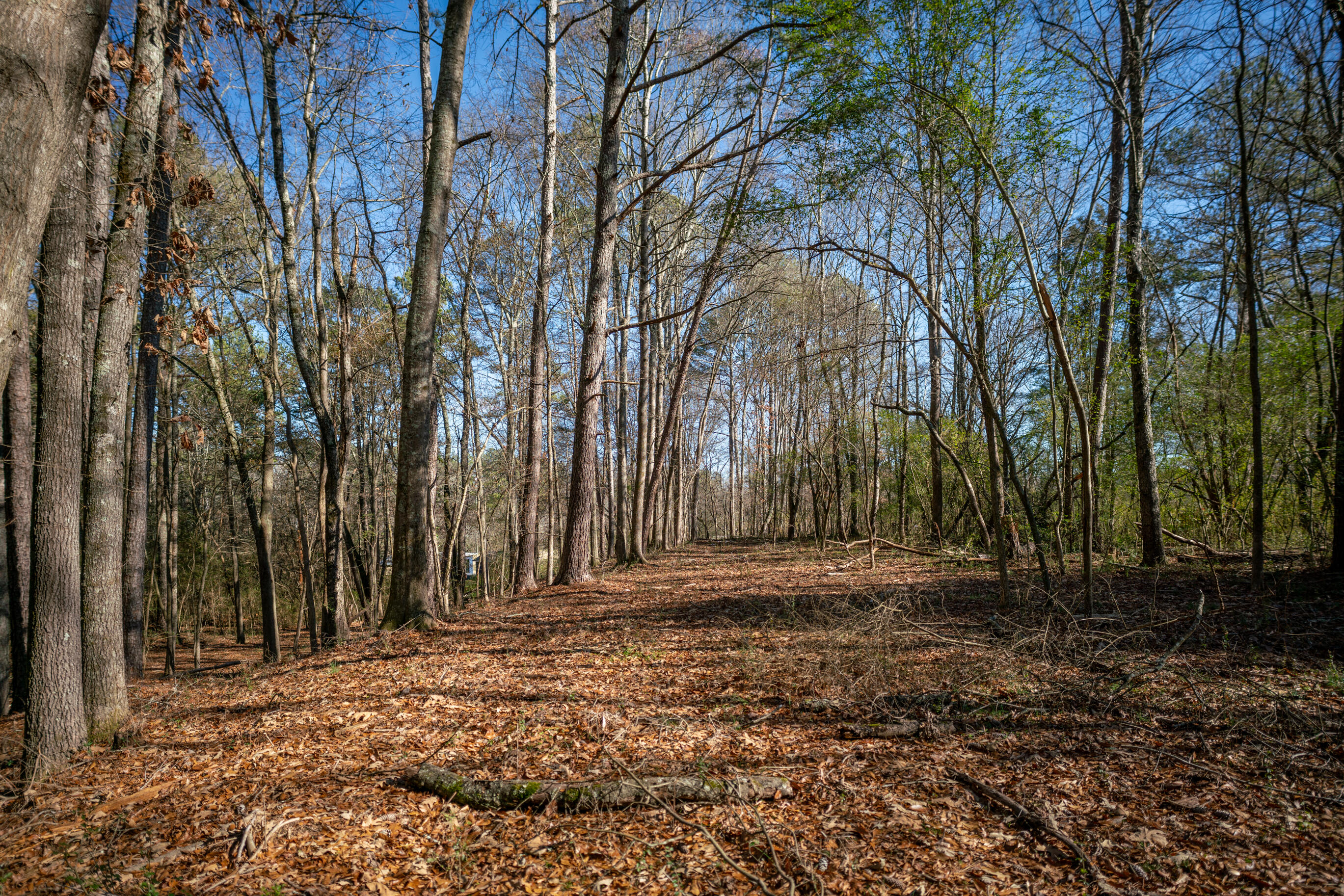 113 Ireland Lane, Chickamauga, Georgia image 44