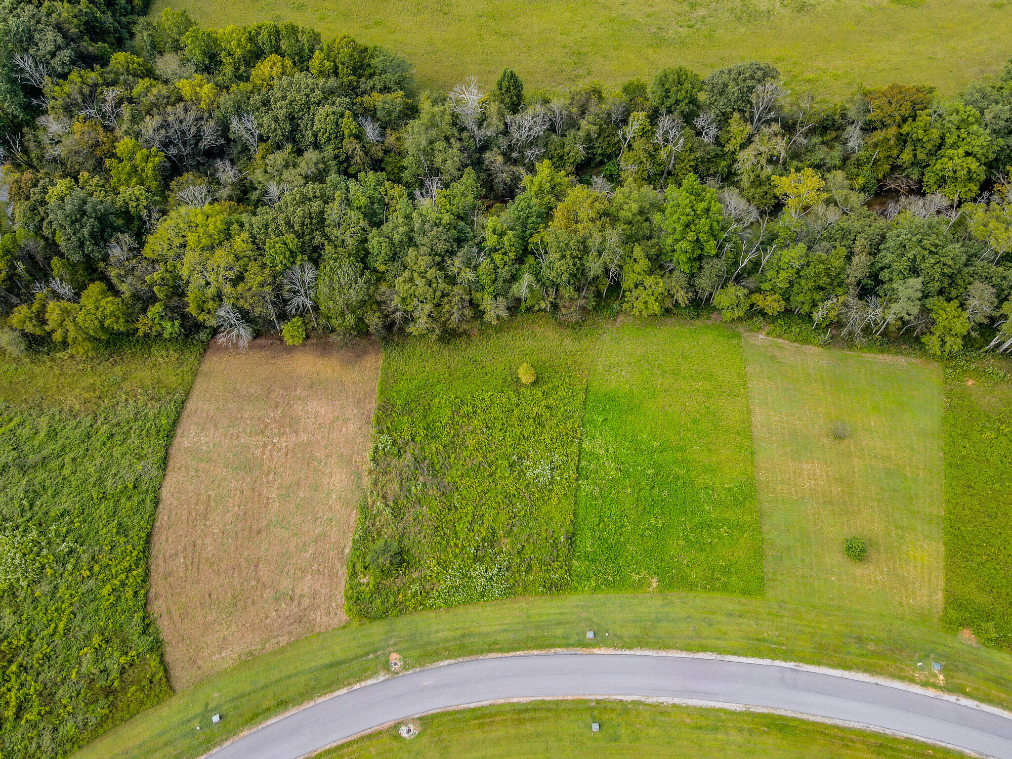 Lot 36 River Ridge Drive #36, Dunlap, Tennessee image 14