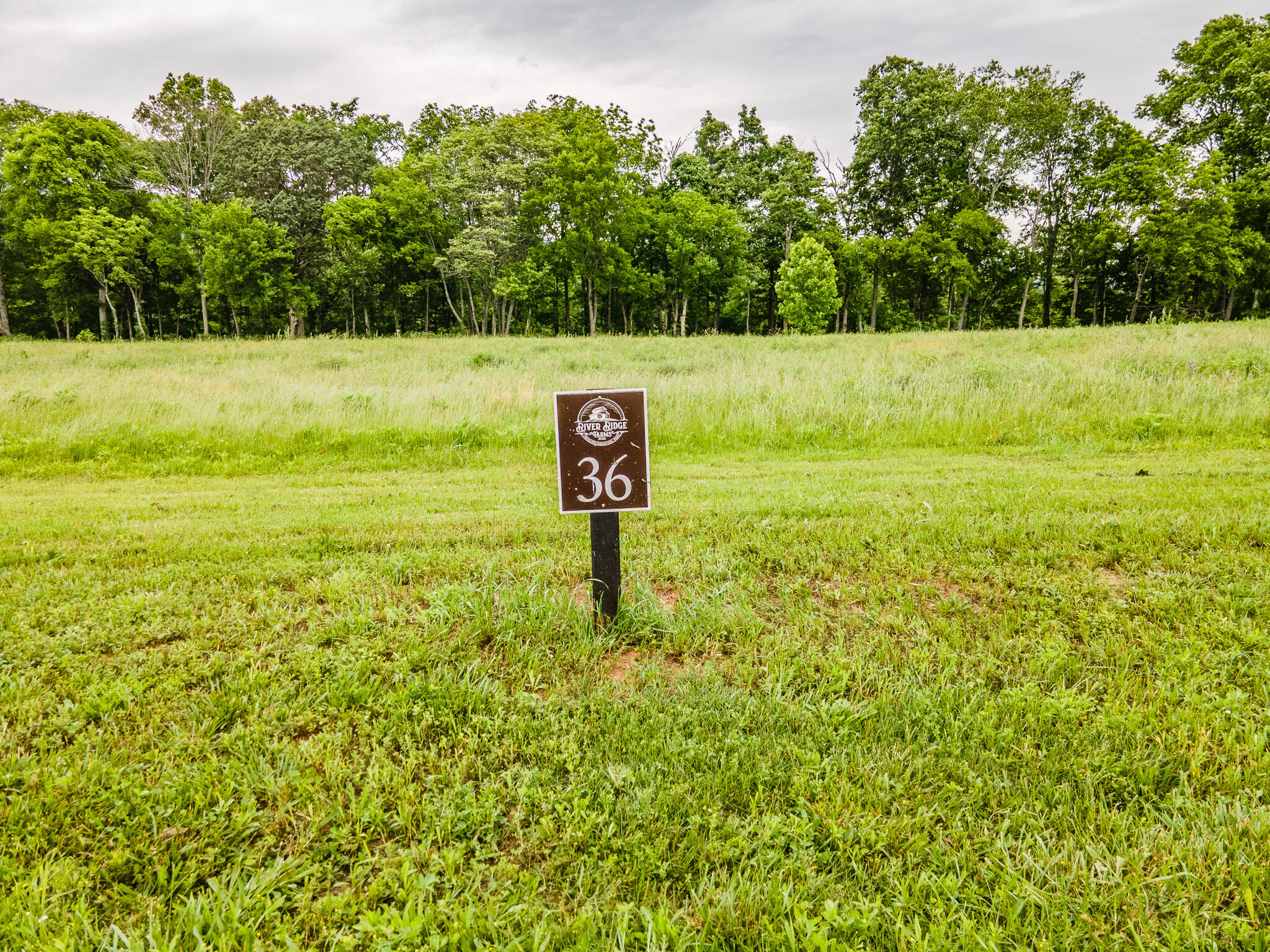 Lot 36 River Ridge Drive #36, Dunlap, Tennessee image 5