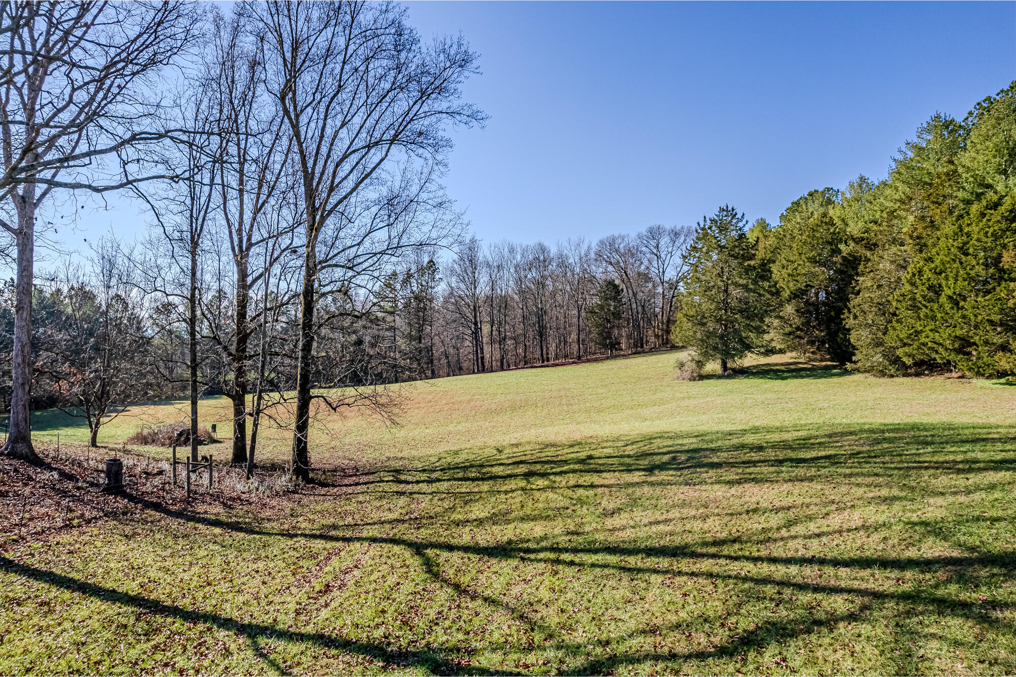 458 County Road 616, Athens, Tennessee image 7