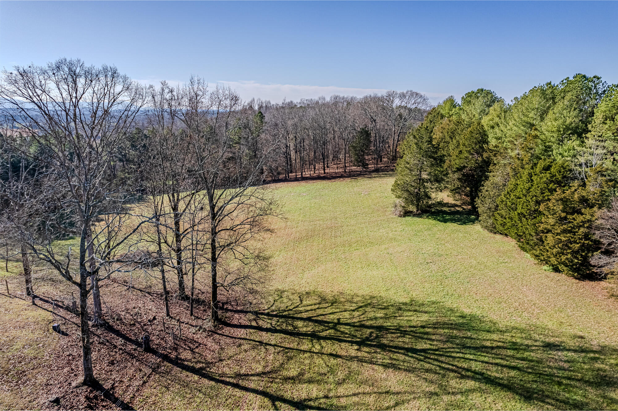 458 County Road 616, Athens, Tennessee image 6