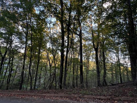 Tiny photo for 6604 Declaration Drive, Hixson, TN 37343 (MLS # 1522222)