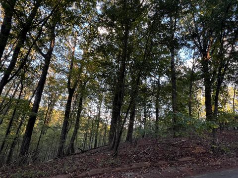 Tiny photo for 6604 Declaration Drive, Hixson, TN 37343 (MLS # 1522222)