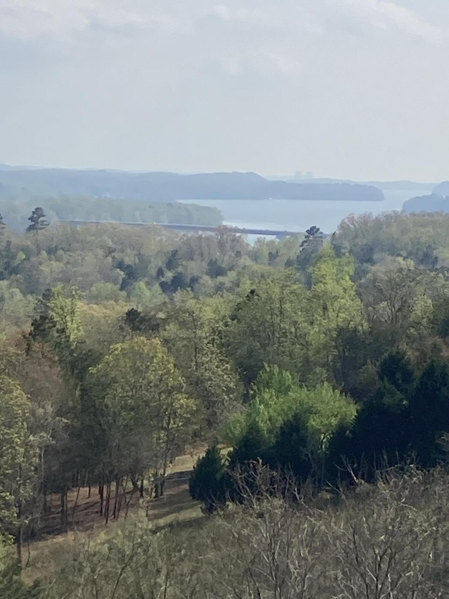 435 Riversound Drive, Dayton, Tennessee image 11