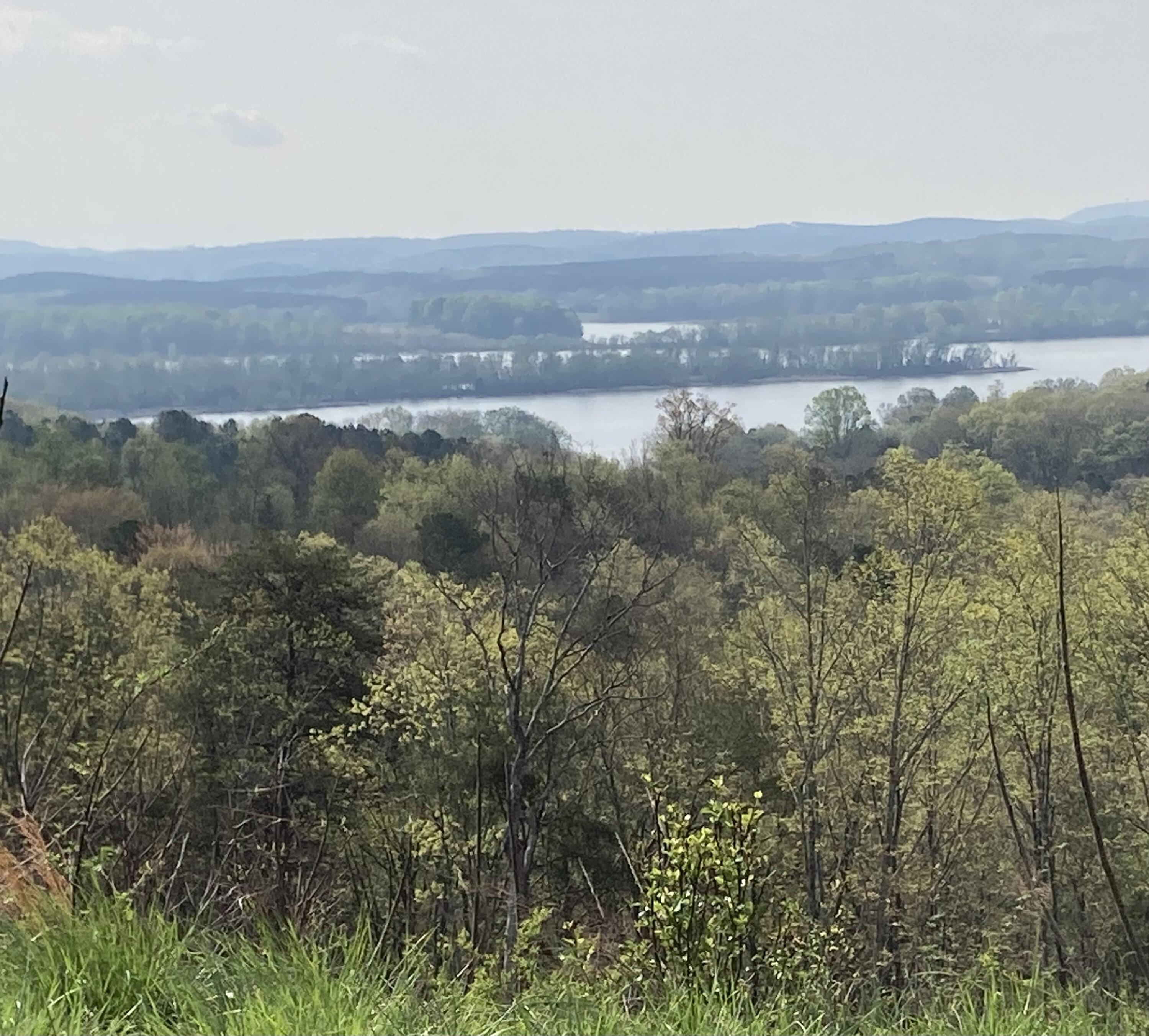 435 Riversound Drive, Dayton, Tennessee image 6
