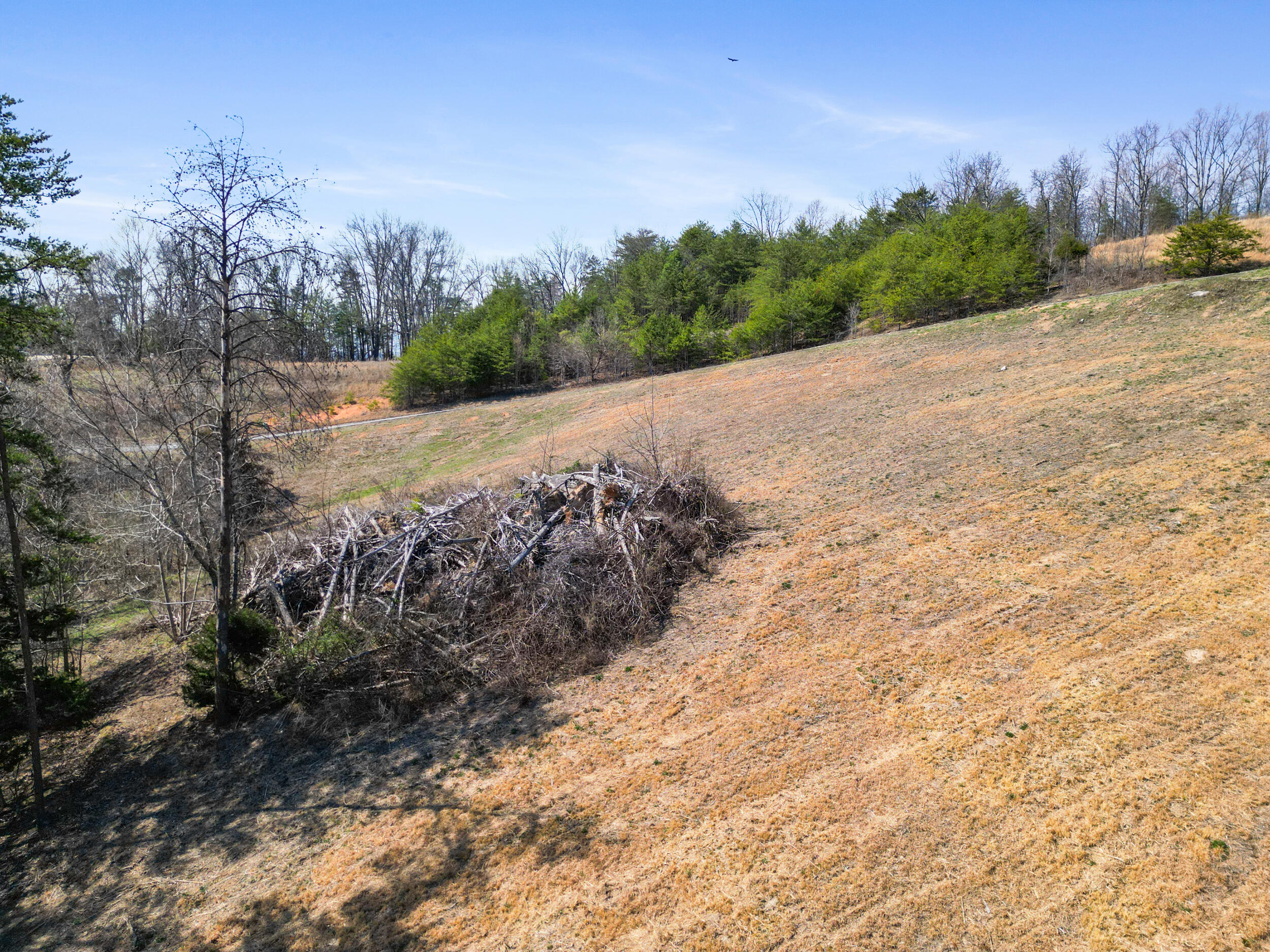 435 Riversound Drive, Dayton, Tennessee image 15