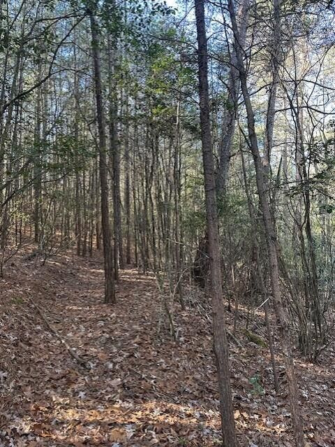 Tiny photo for Tract 7 50th Avenue, Gruetli Laager, TN 37339 (MLS # 1527005)