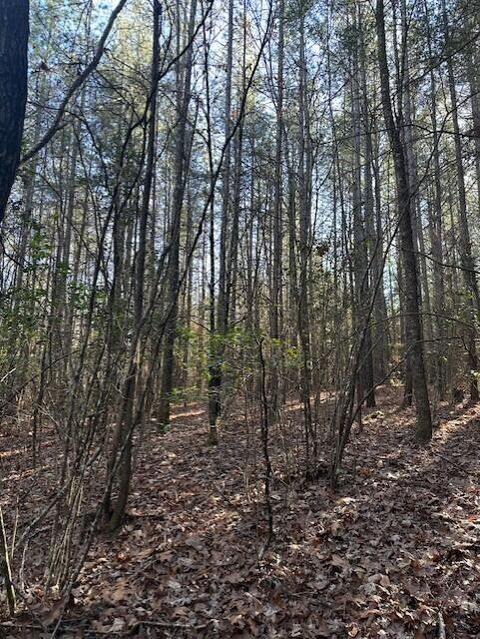 Tiny photo for Tract 7 50th Avenue, Gruetli Laager, TN 37339 (MLS # 1527005)