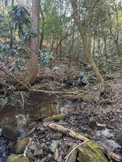 Tiny photo for Tract 7 50th Avenue, Gruetli Laager, TN 37339 (MLS # 1527005)