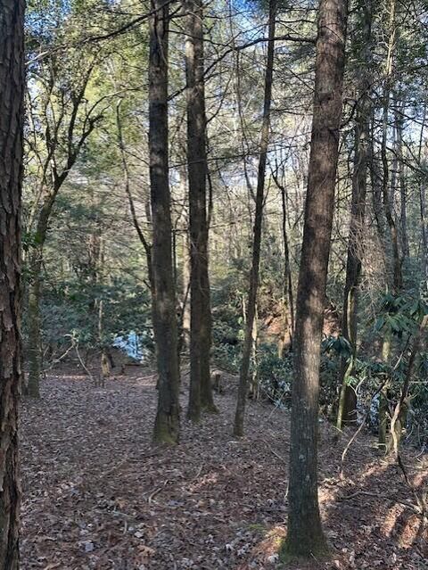 Tiny photo for Tract 7 50th Avenue, Gruetli Laager, TN 37339 (MLS # 1527005)