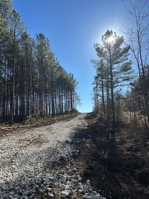 Tiny photo for Tract 7 50th Avenue, Gruetli Laager, TN 37339 (MLS # 1527005)