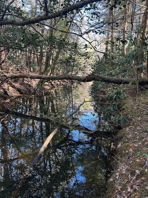 Tiny photo for Tract 7 50th Avenue, Gruetli Laager, TN 37339 (MLS # 1527005)