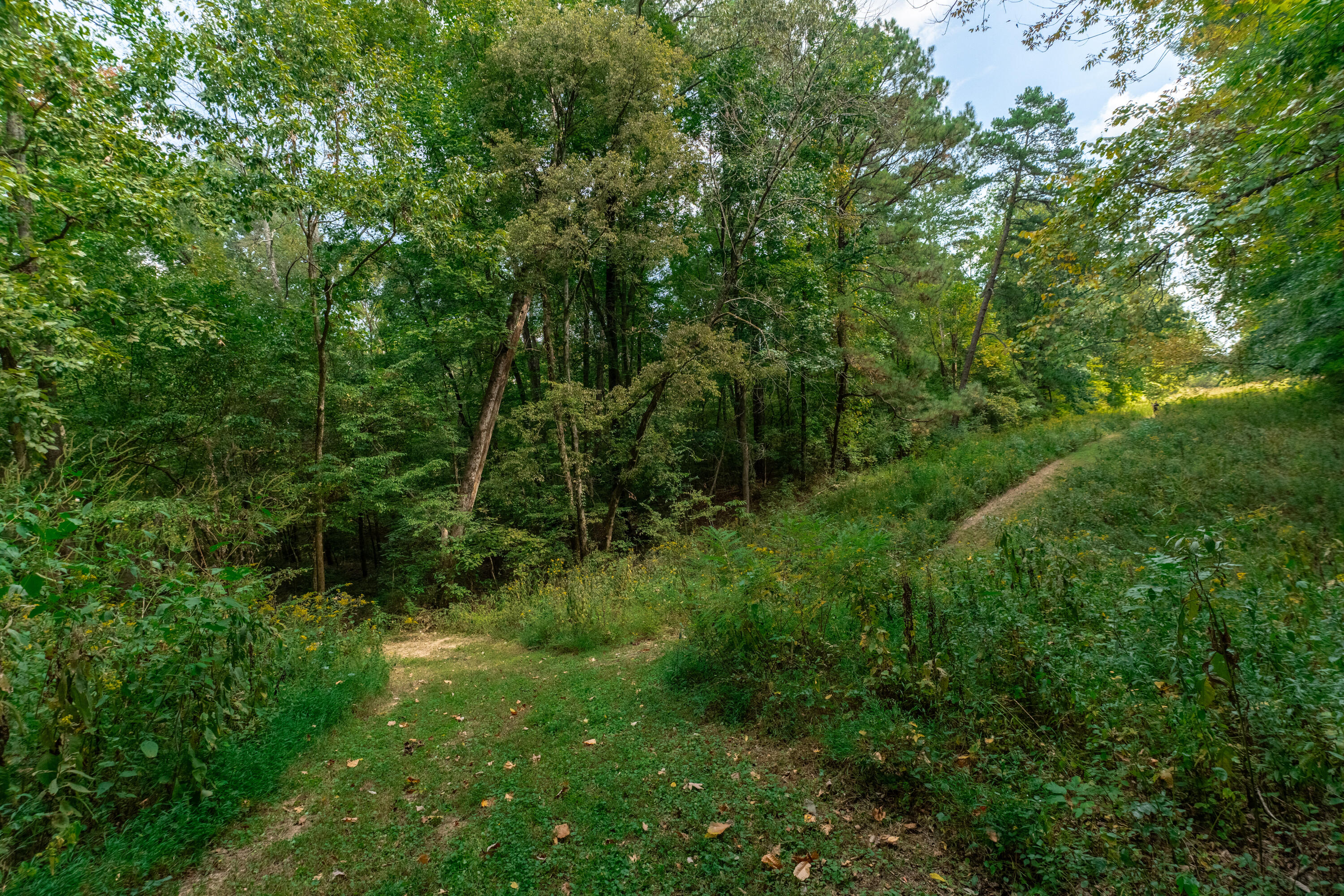 270 Boynton Drive, Ringgold, Georgia image 4