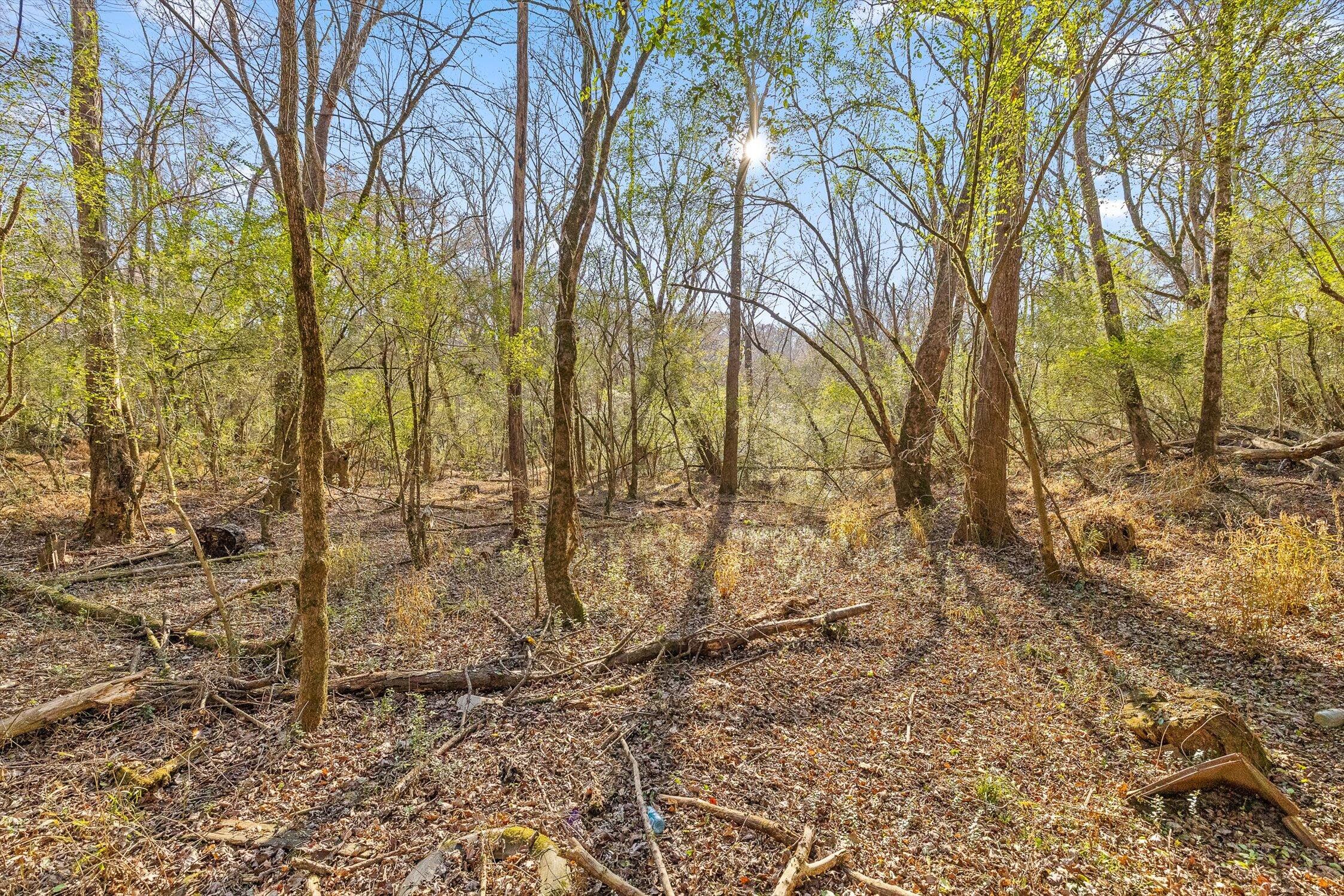 Hixson, Tennessee 37343, United States, ,Land,Active,248855