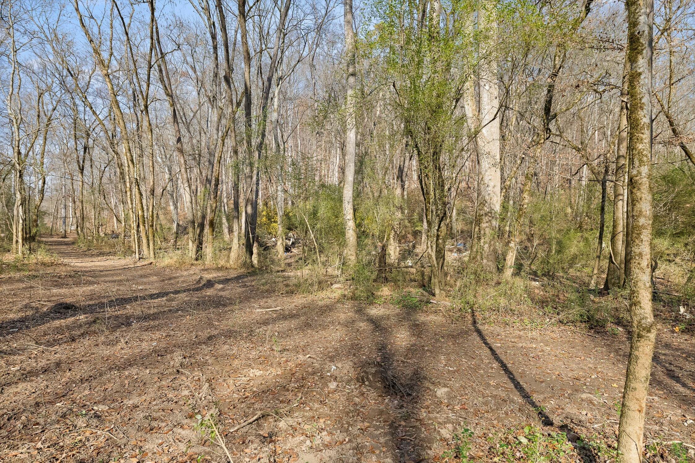 Hixson, Tennessee 37343, United States, ,Land,Active,248855