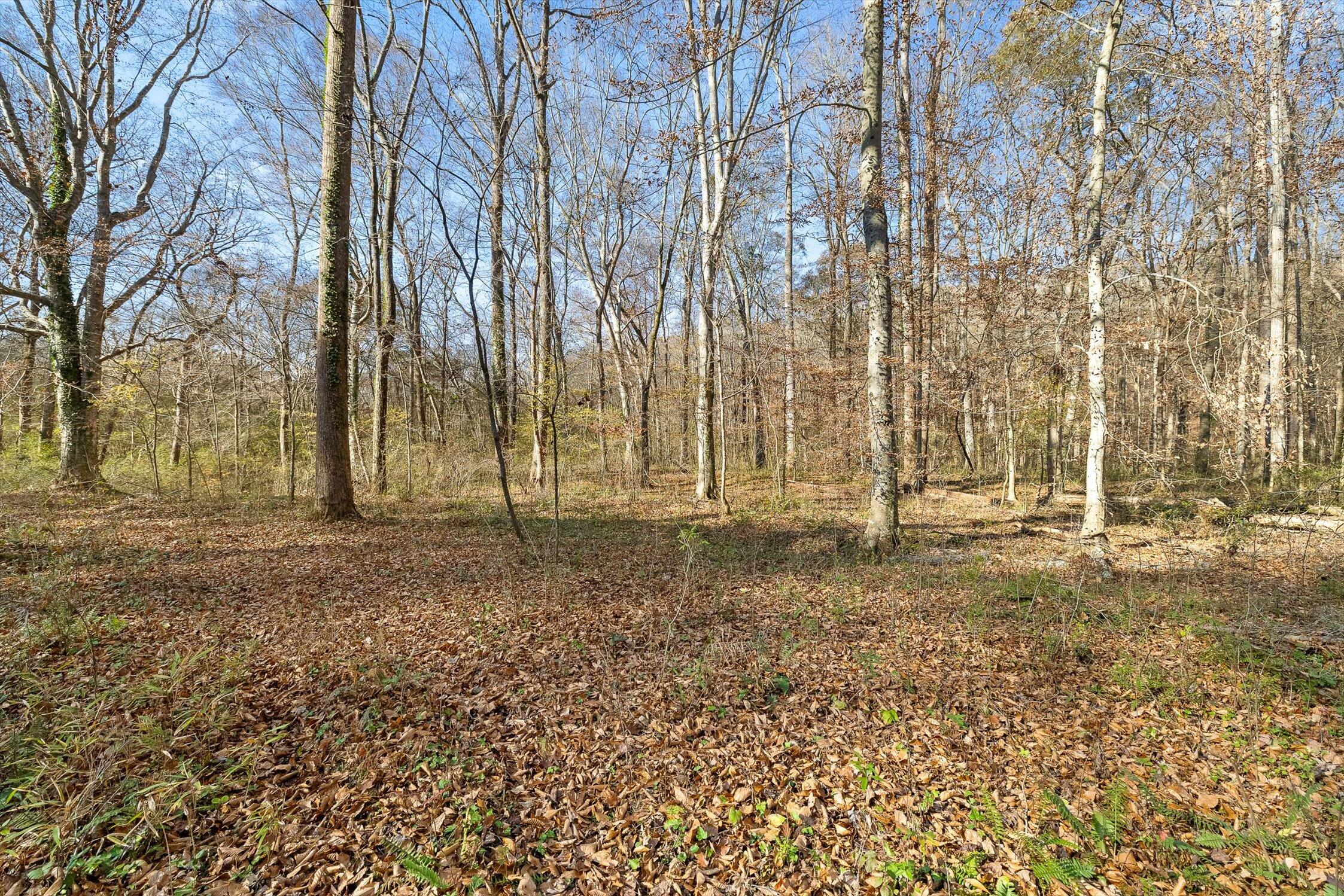 Hixson, Tennessee 37343, United States, ,Land,Active,248855