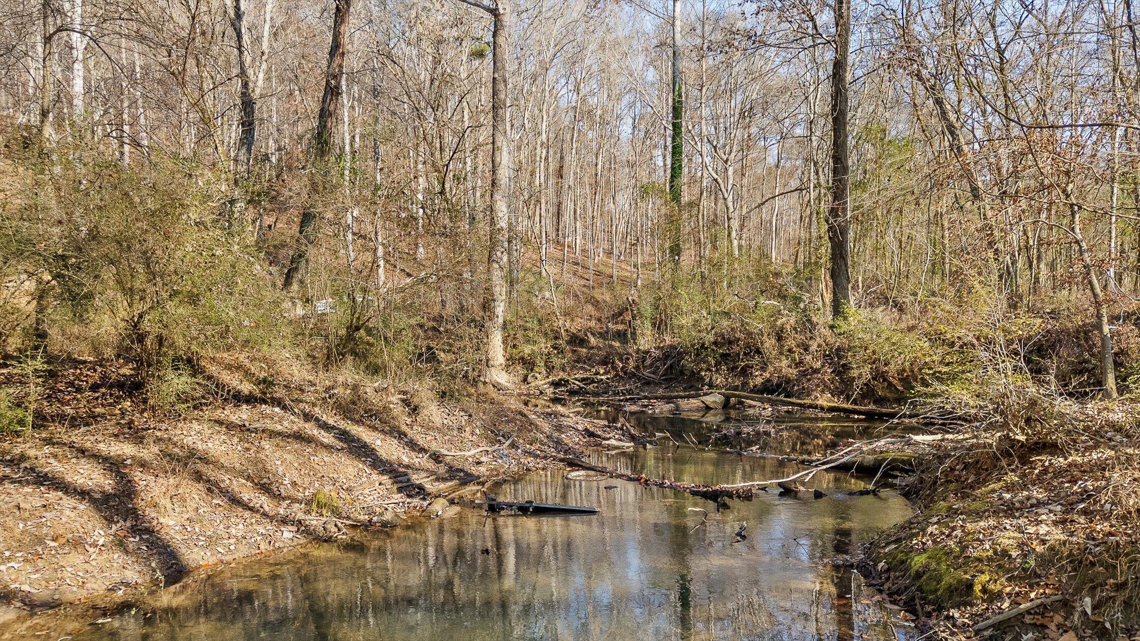 Hixson, Tennessee 37343, United States, ,Land,Active,248855