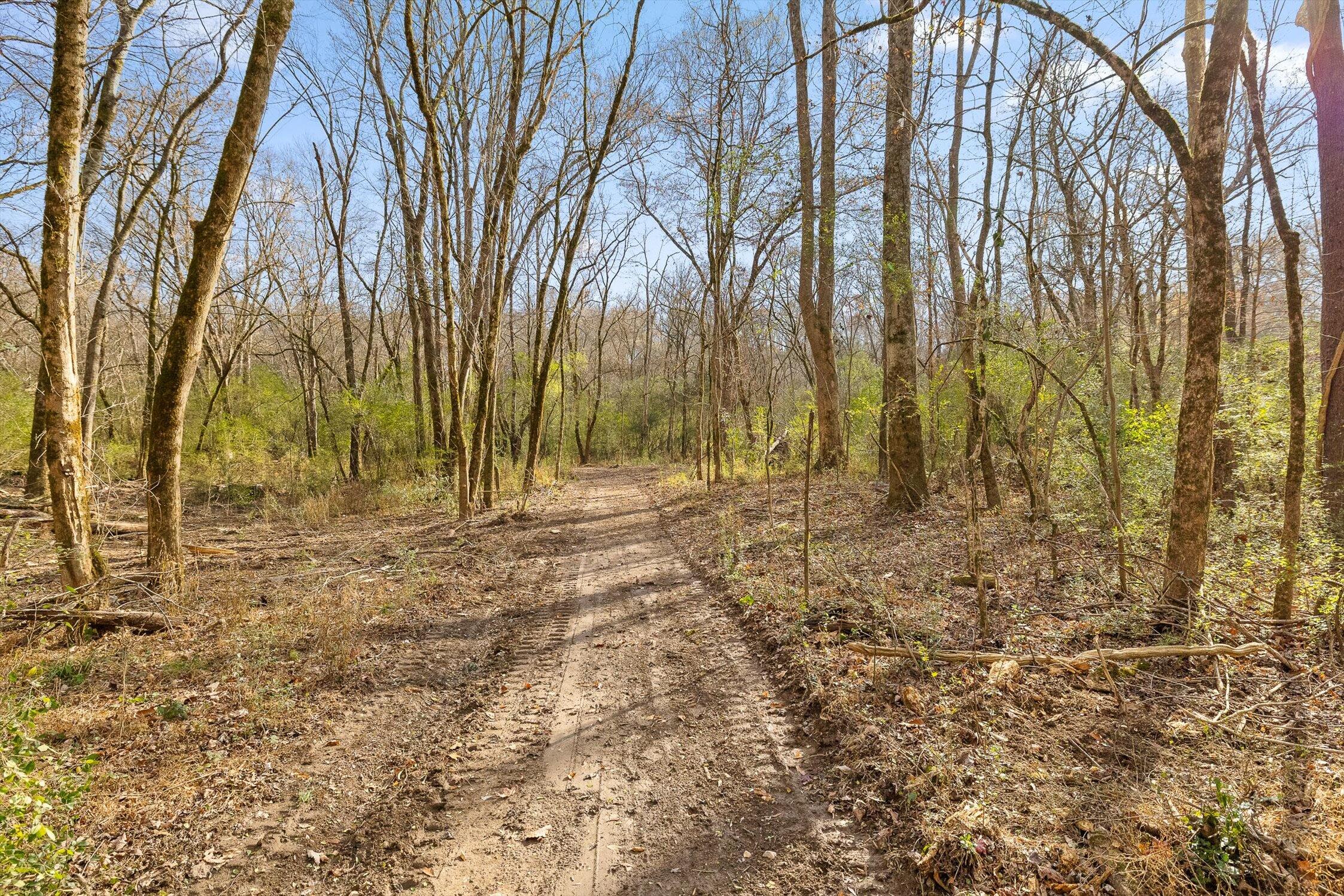 Hixson, Tennessee 37343, United States, ,Land,Active,248855