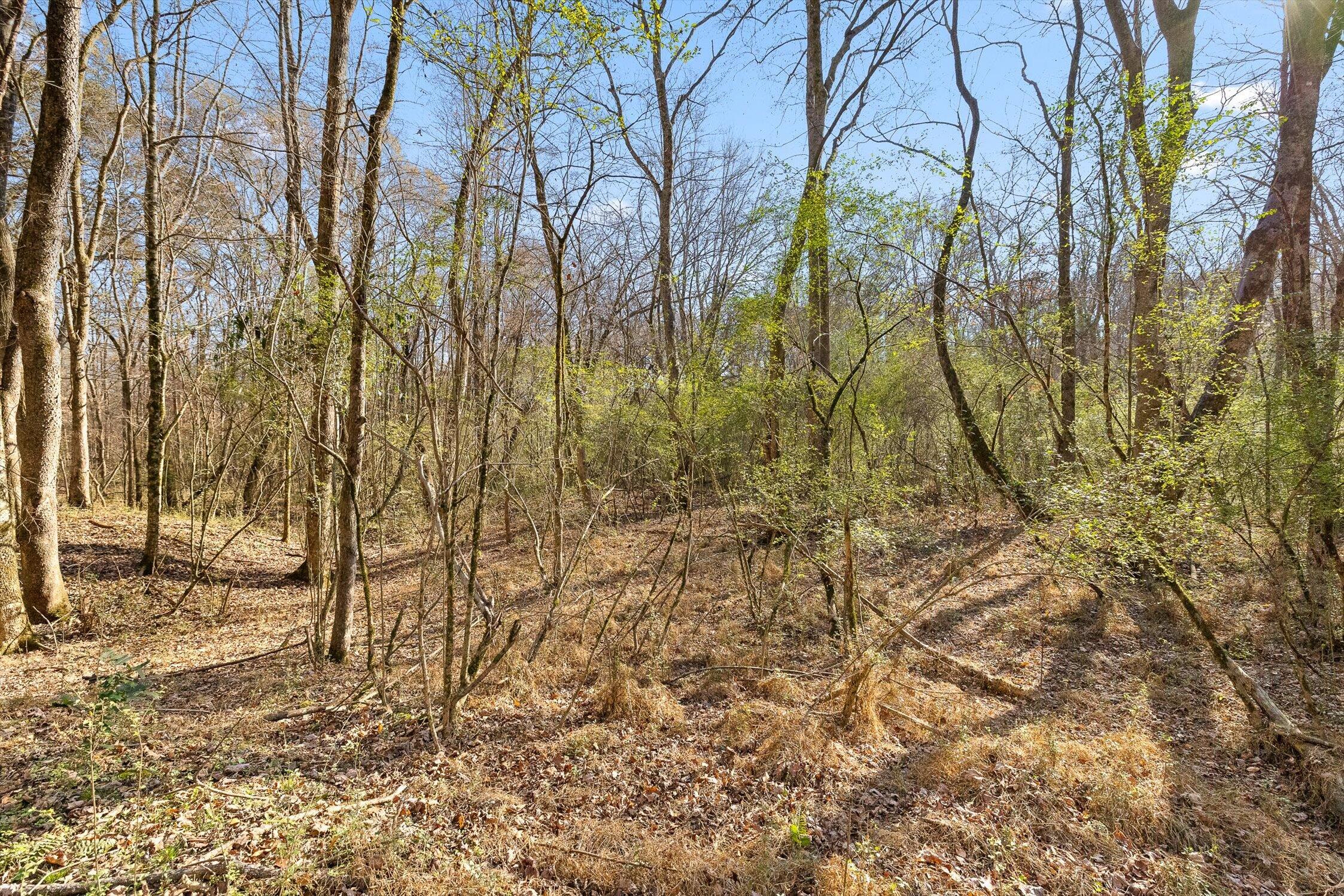 Hixson, Tennessee 37343, United States, ,Land,Active,248855