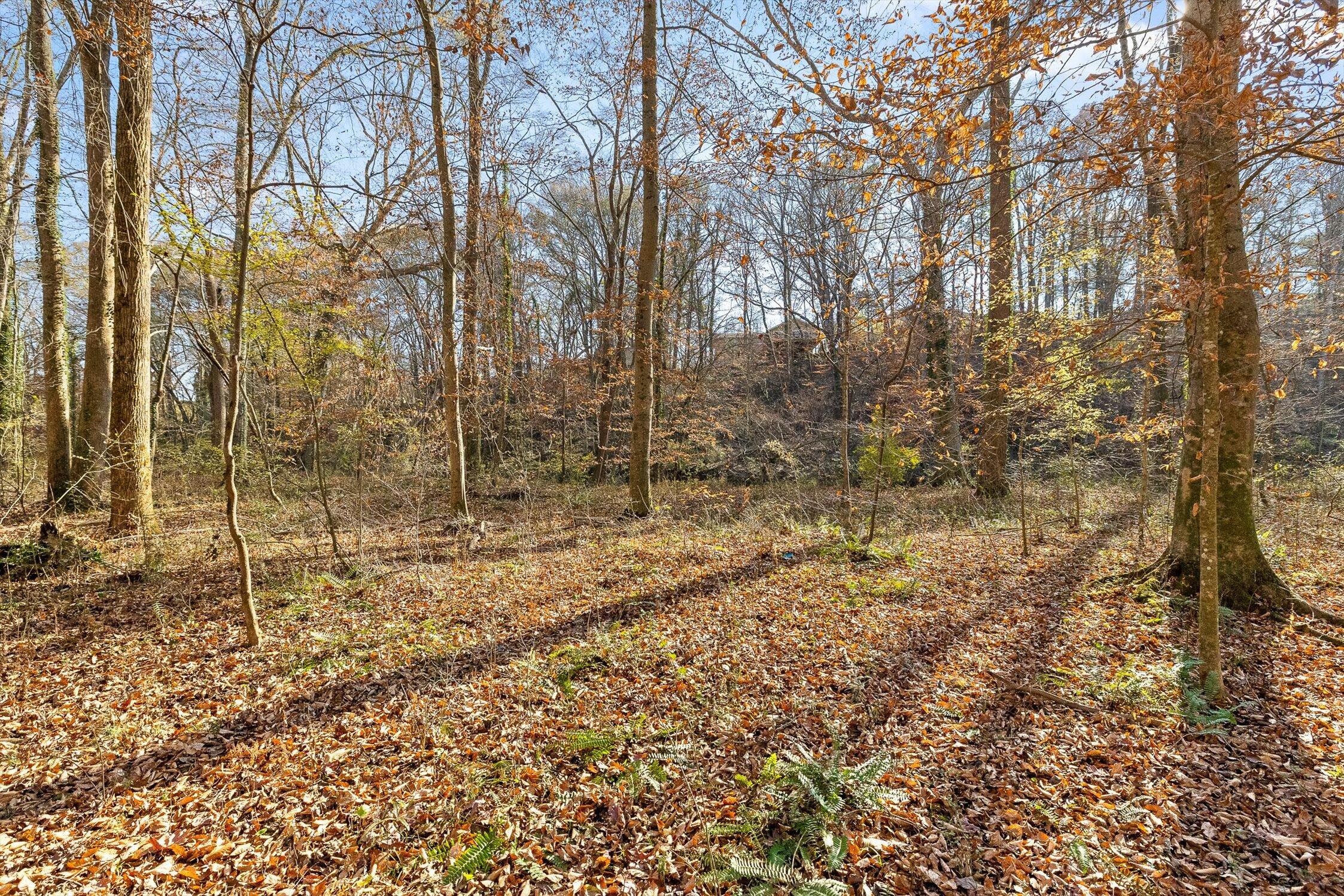 Hixson, Tennessee 37343, United States, ,Land,Active,248855