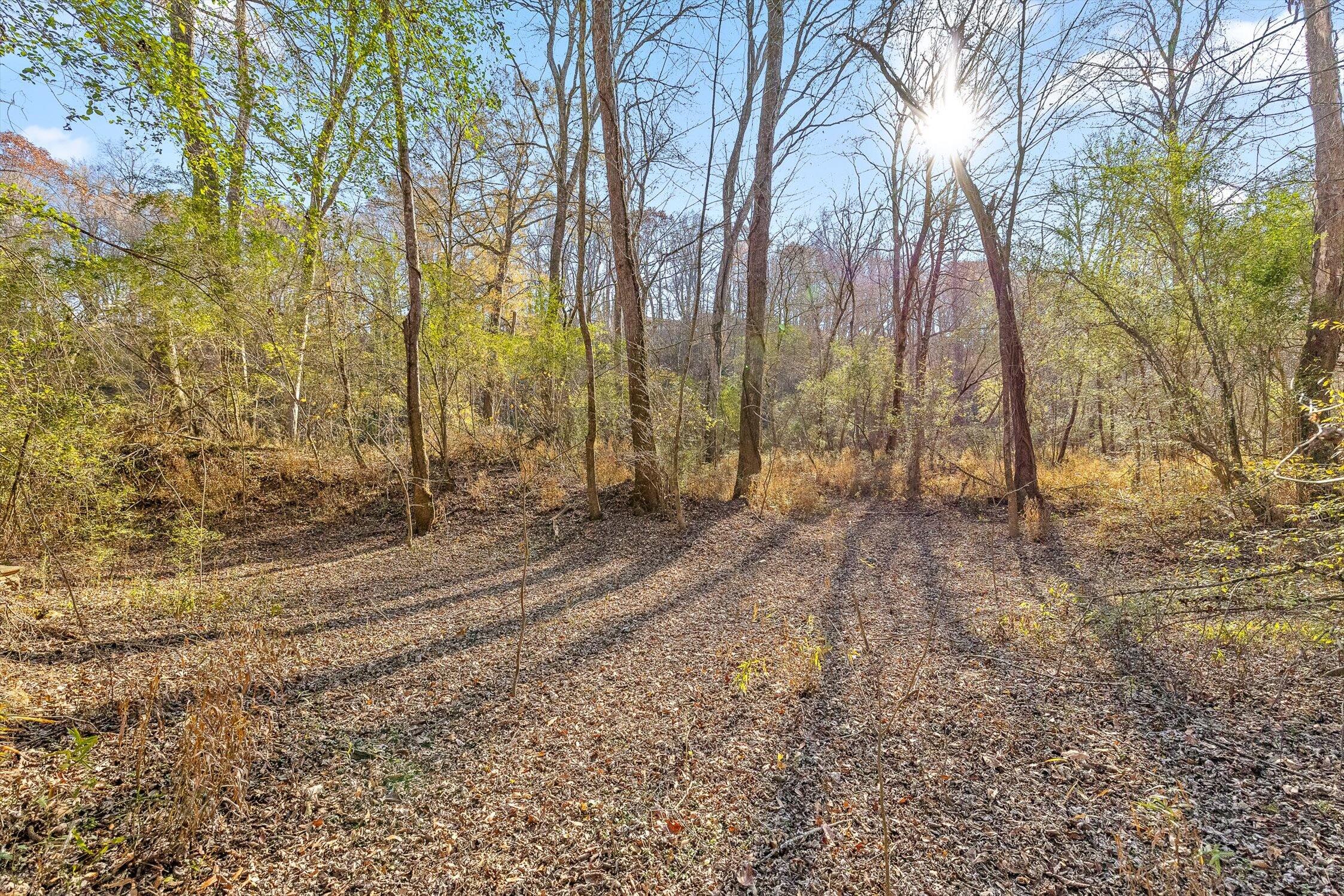 Hixson, Tennessee 37343, United States, ,Land,Active,248855