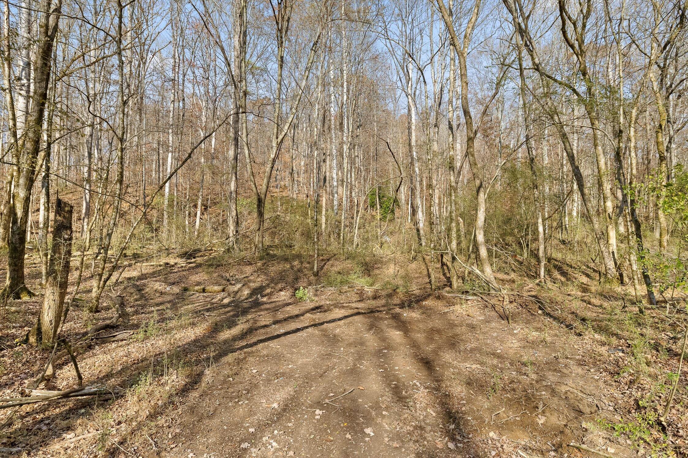 Hixson, Tennessee 37343, United States, ,Land,Active,248855