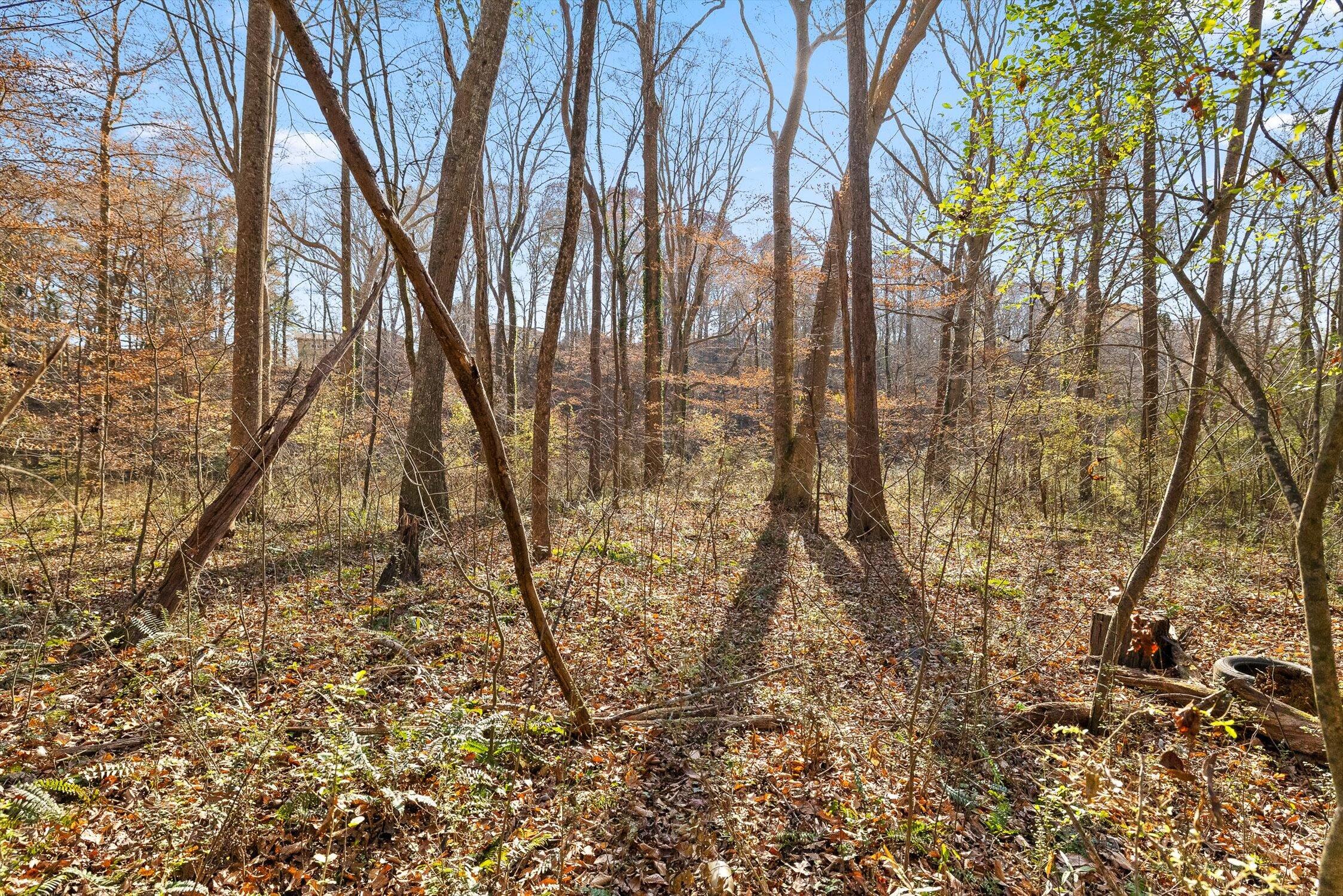 Hixson, Tennessee 37343, United States, ,Land,Active,248855