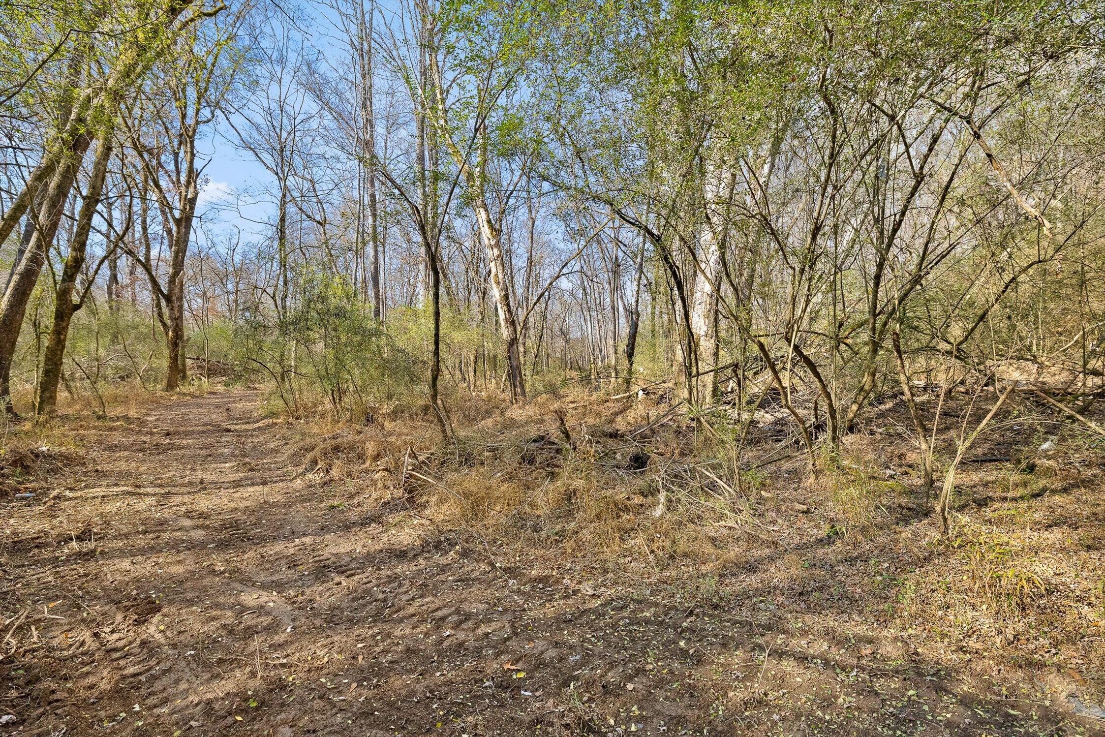 Hixson, Tennessee 37343, United States, ,Land,Active,248855