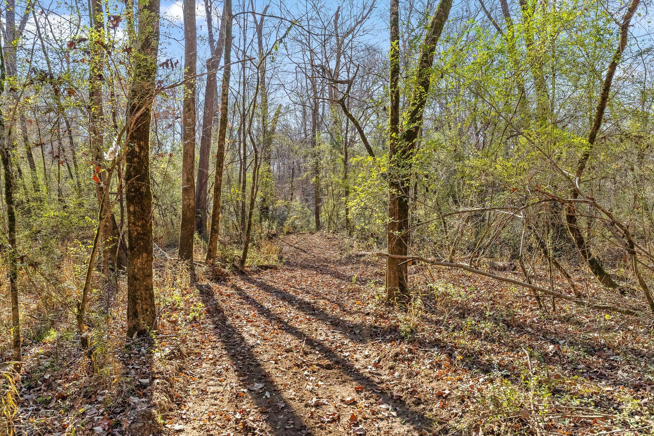 Hixson, Tennessee 37343, United States, ,Land,Active,248855