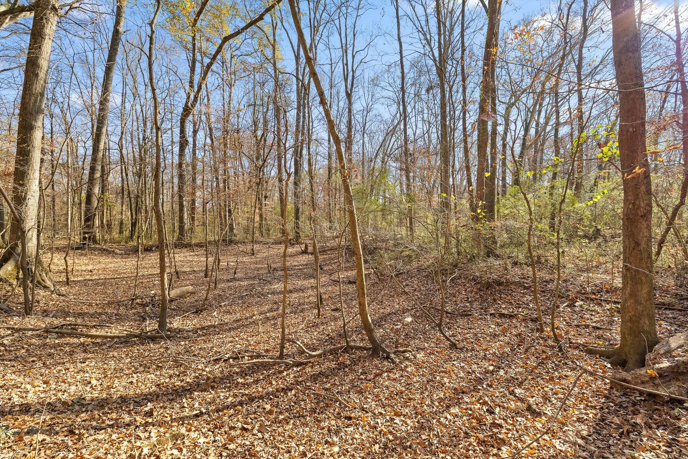 Hixson, Tennessee 37343, United States, ,Land,Active,248855