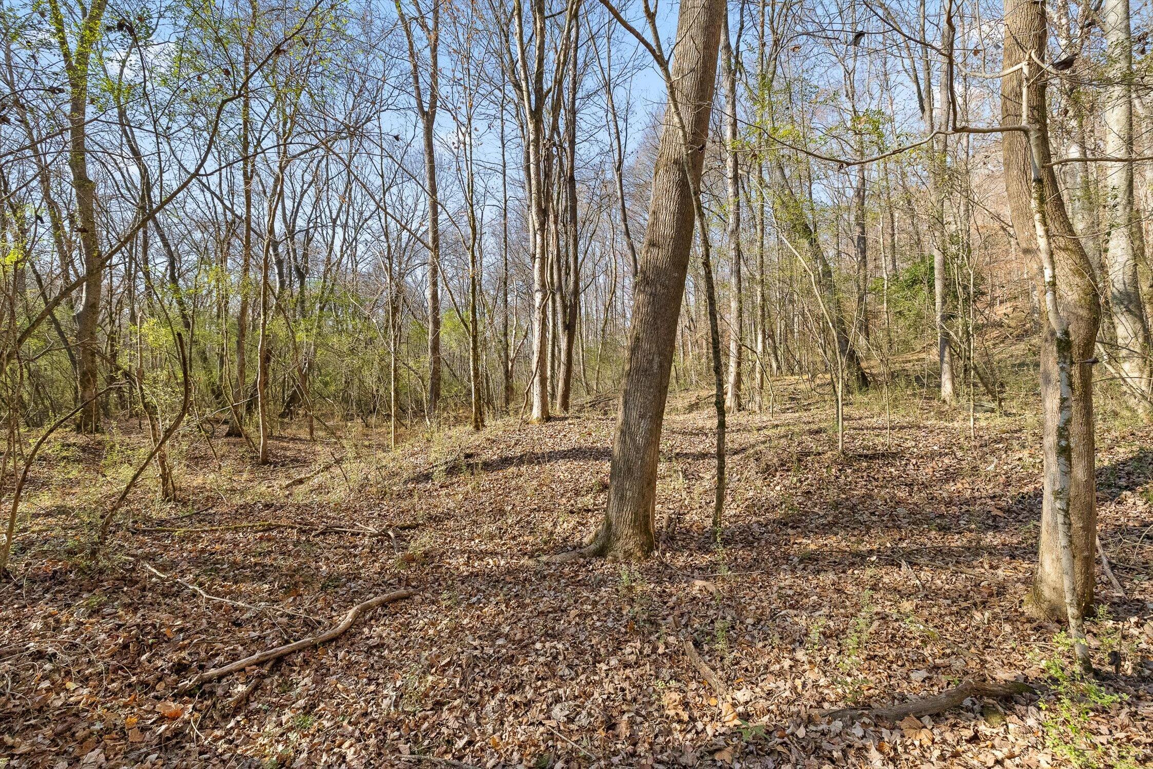 Hixson, Tennessee 37343, United States, ,Land,Active,248855