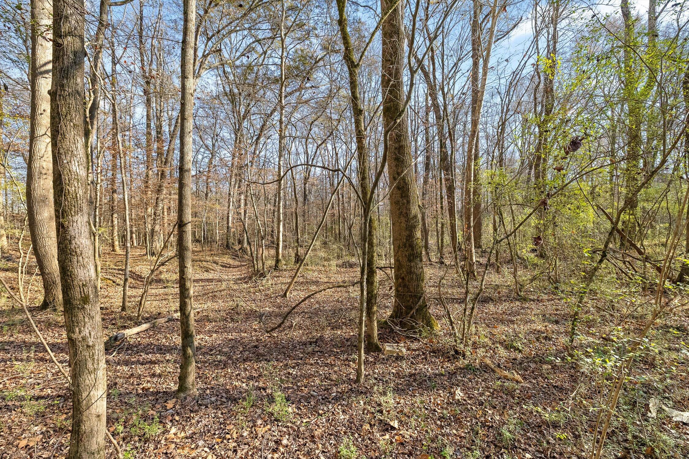 Hixson, Tennessee 37343, United States, ,Land,Active,248855