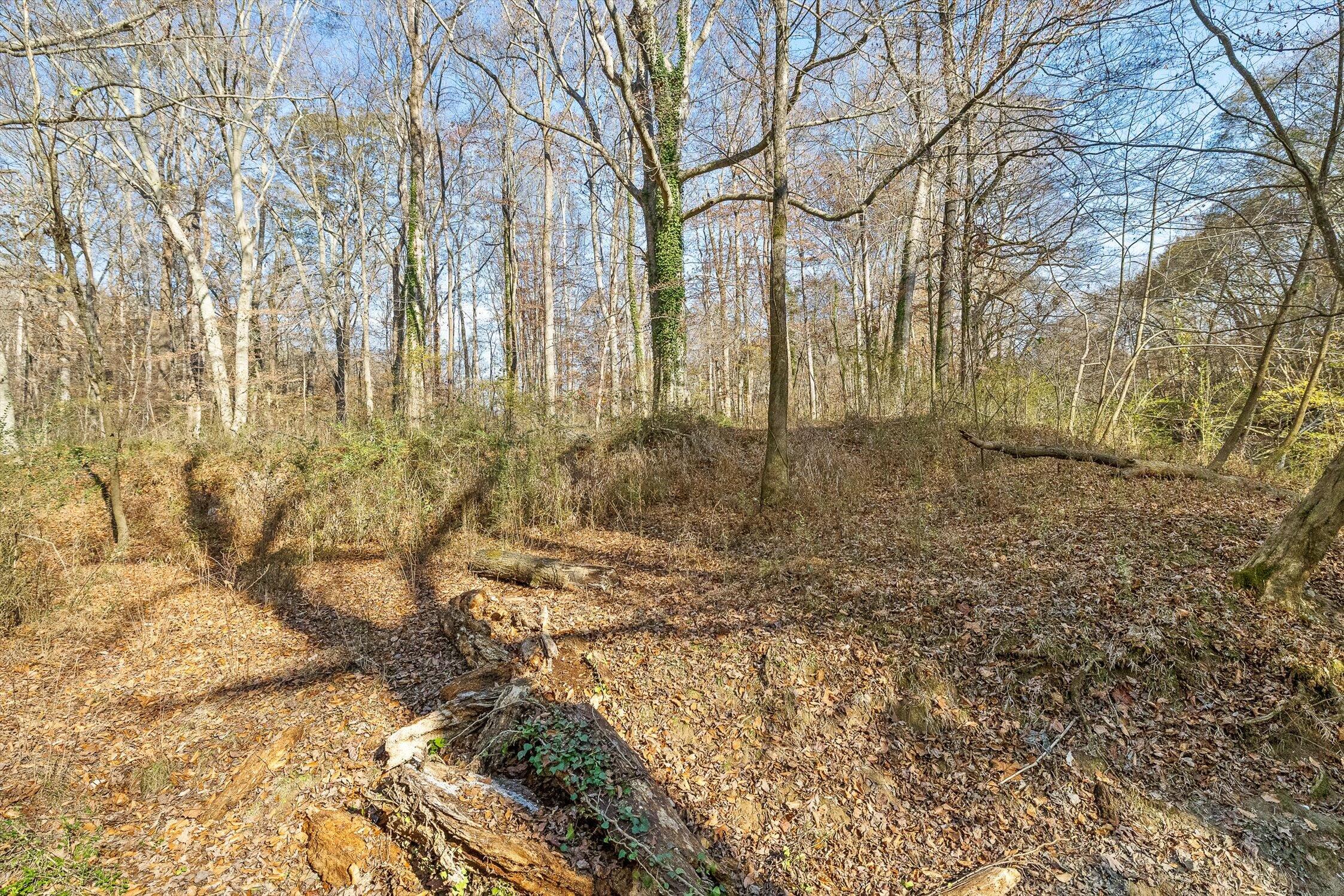 Hixson, Tennessee 37343, United States, ,Land,Active,248855