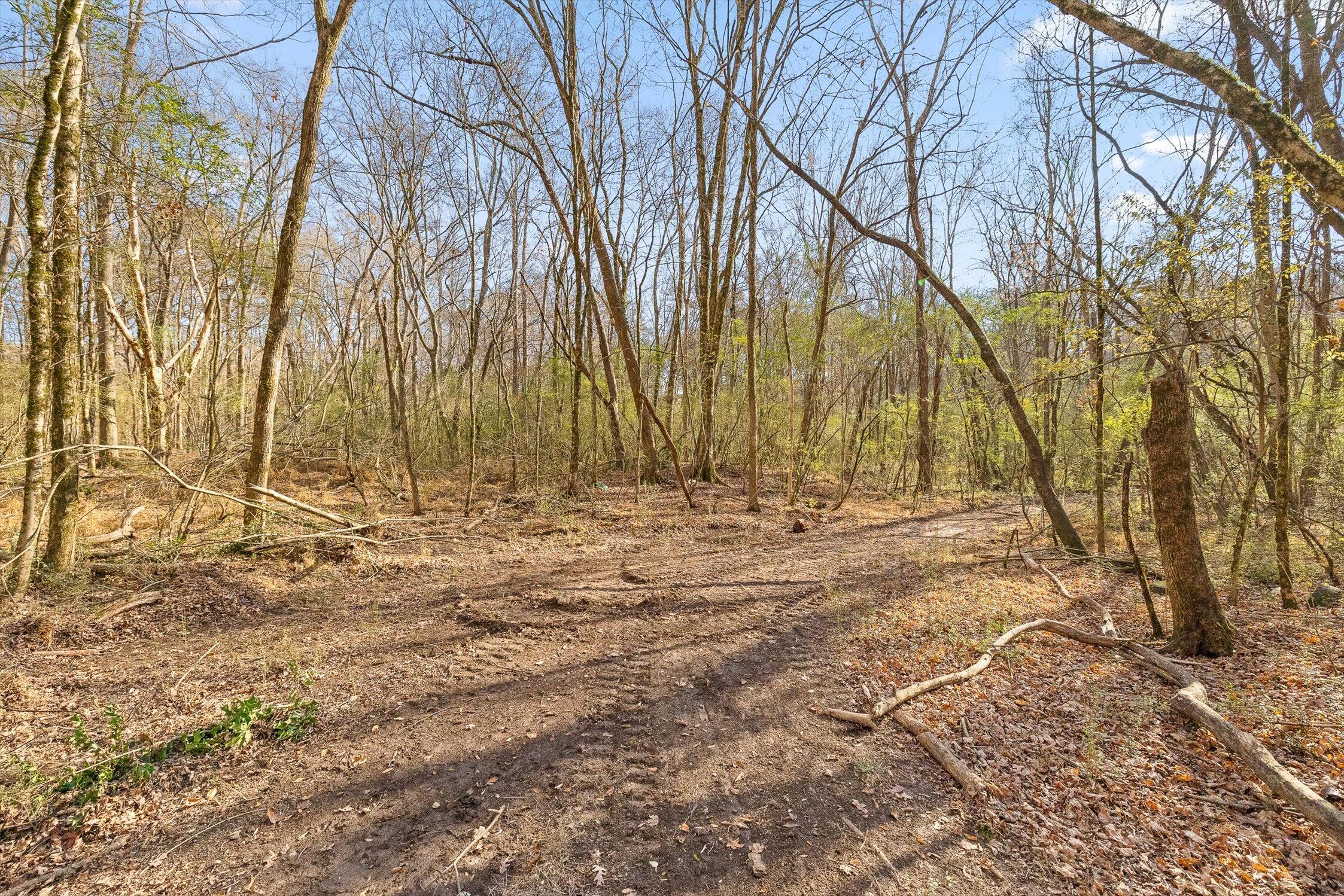 Hixson, Tennessee 37343, United States, ,Land,Active,248855