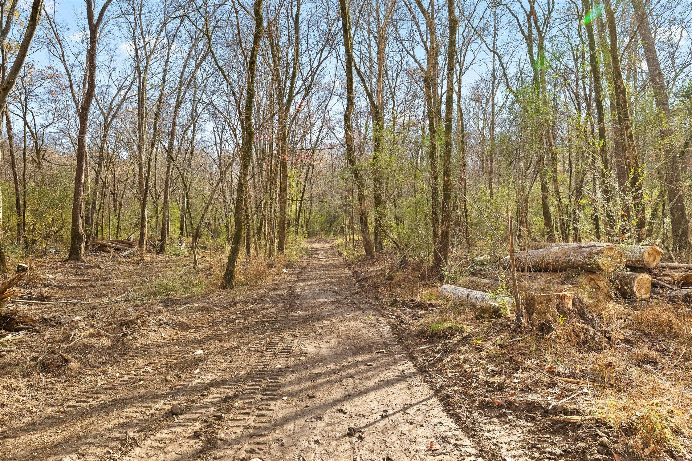 Hixson, Tennessee 37343, United States, ,Land,Active,248855