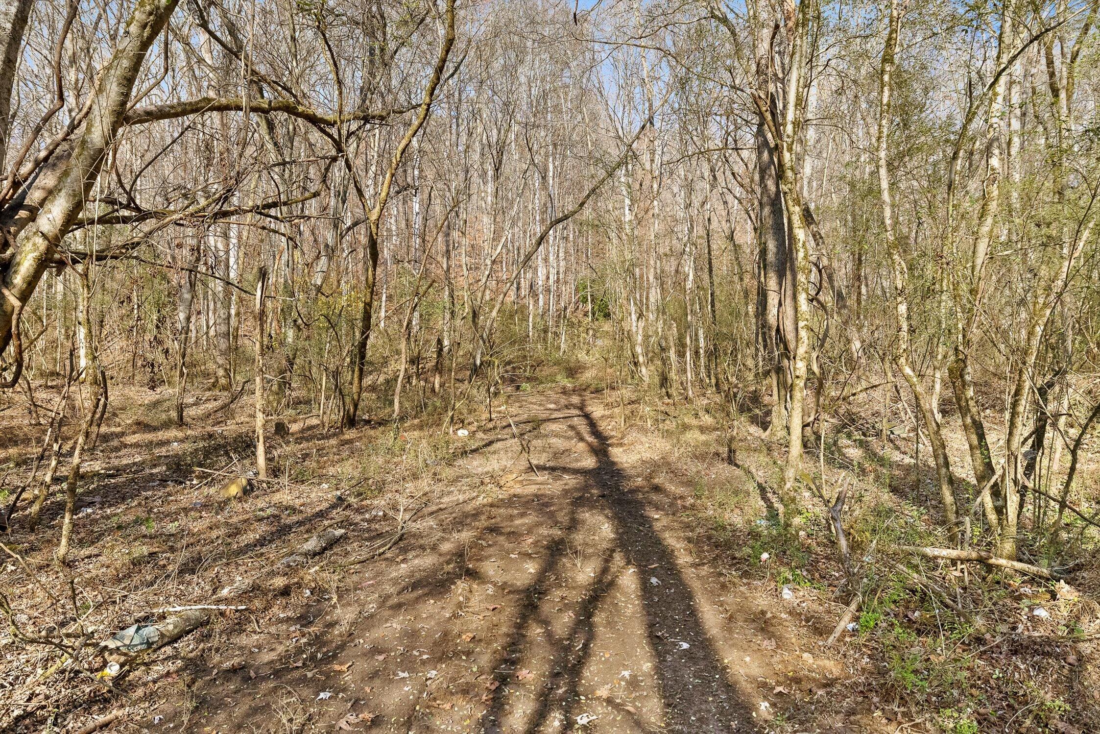 Hixson, Tennessee 37343, United States, ,Land,Active,248855