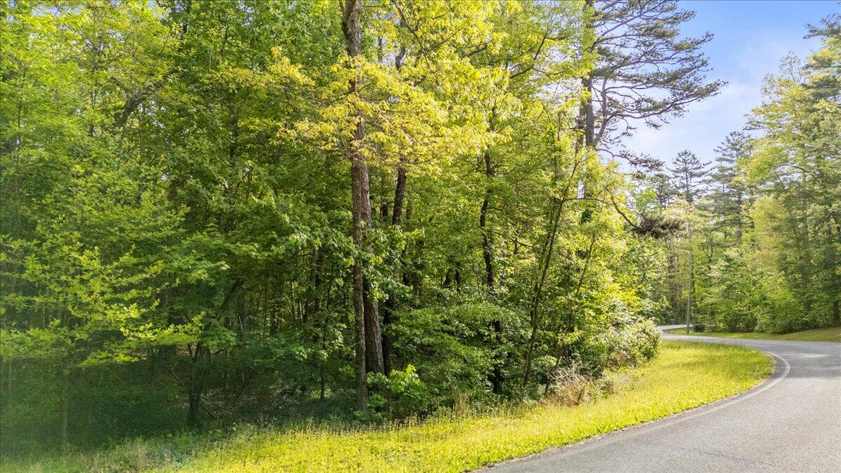 0 Clear Brooks Drive Lot 74