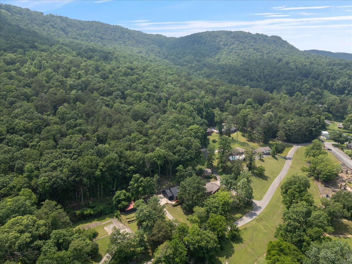 410 Contour Avenue, South Pittsburg, Tennessee image 40