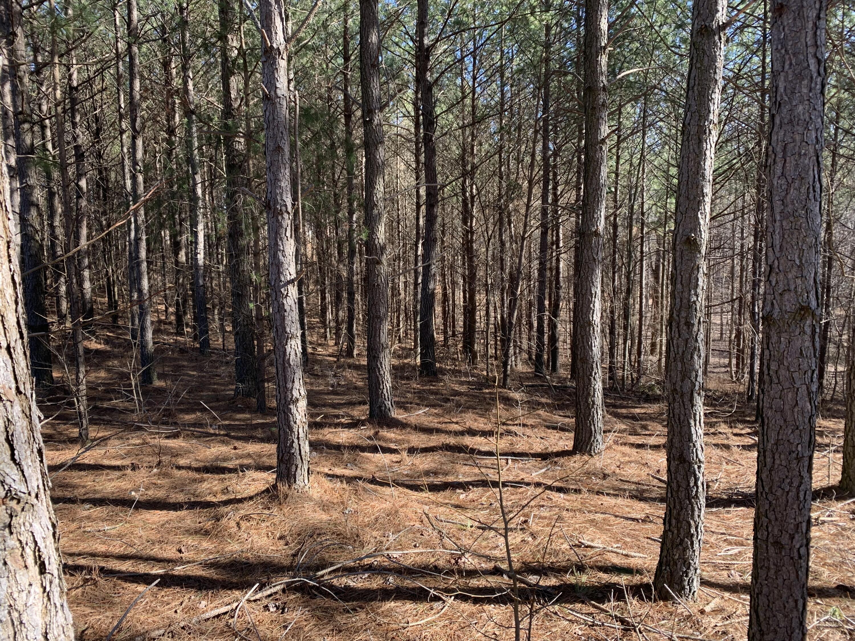 3261 Crockett Point #JF-130, Jasper, Tennessee image 6