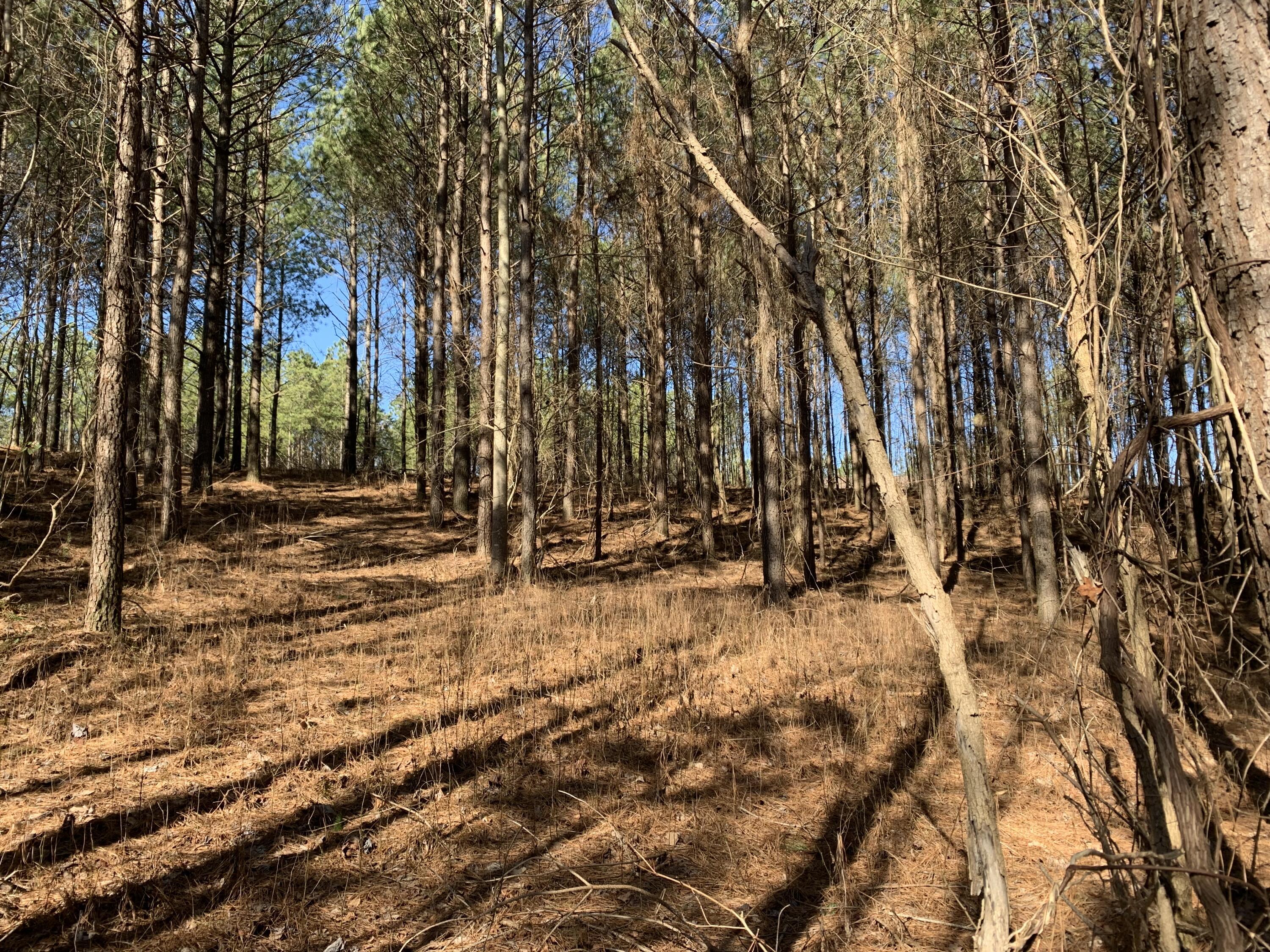3261 Crockett Point #JF-130, Jasper, Tennessee image 8