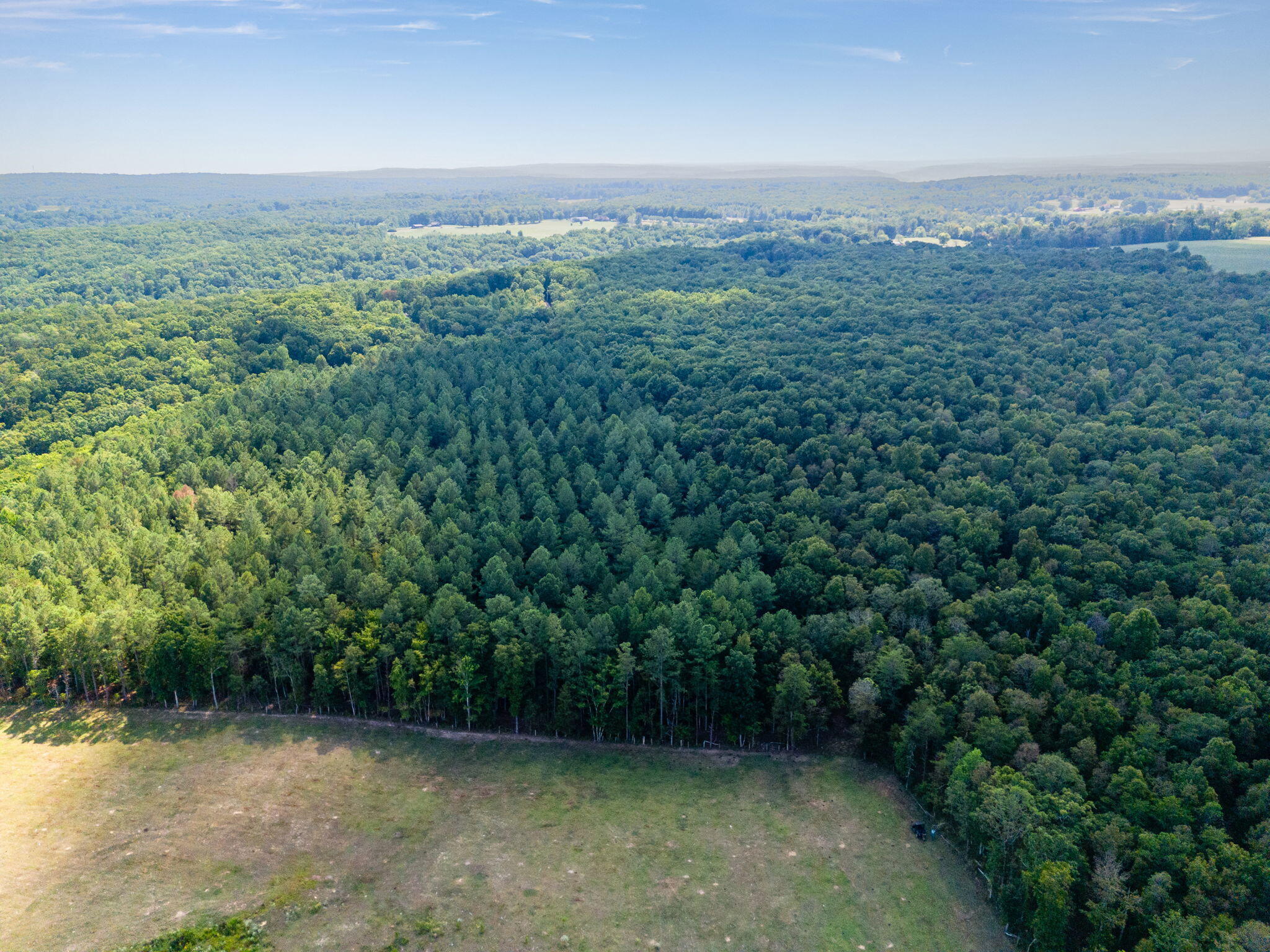 11103 Worley Road, Soddy Daisy, Tennessee image 33