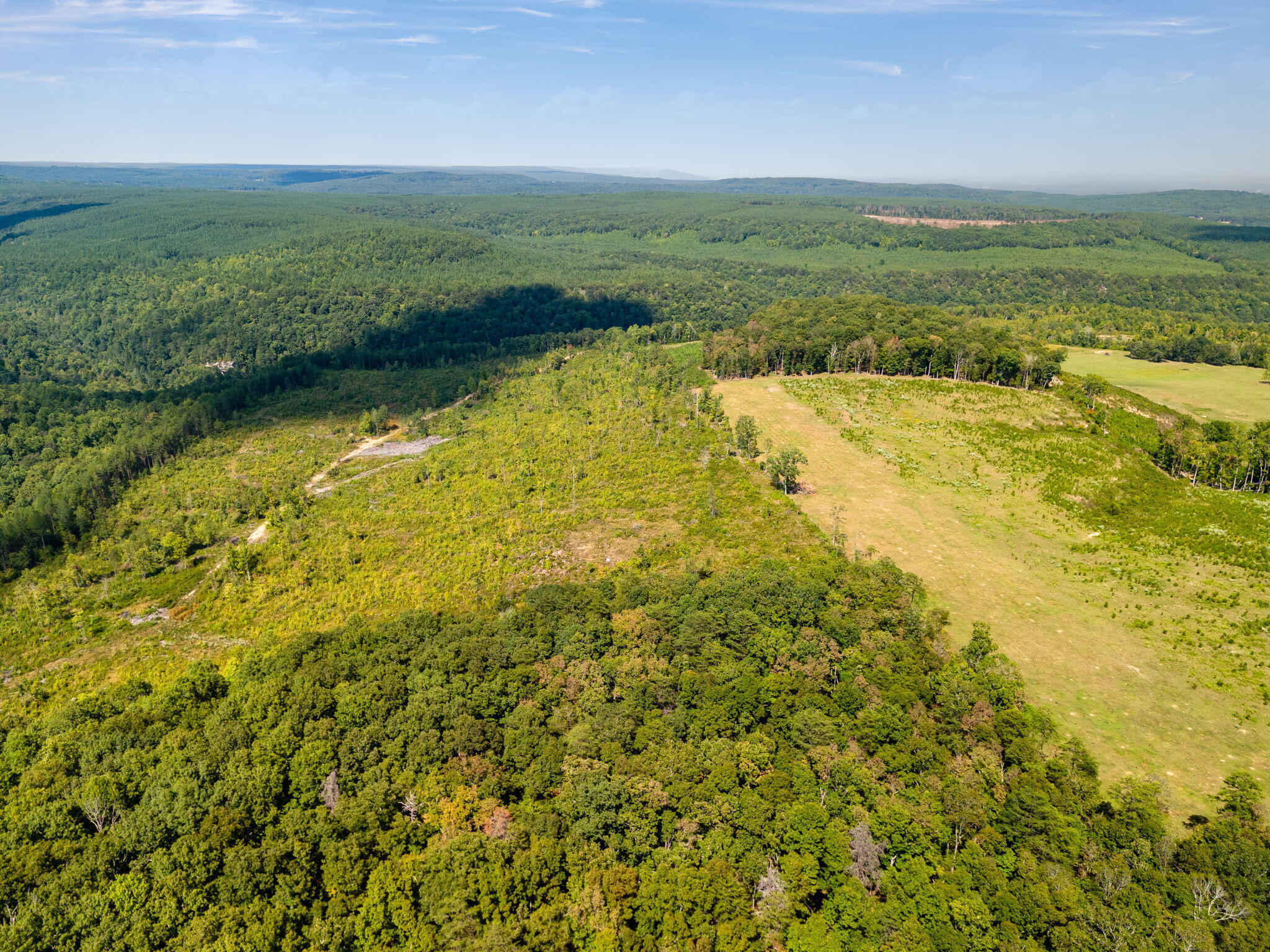 11103 Worley Road, Soddy Daisy, Tennessee image 8